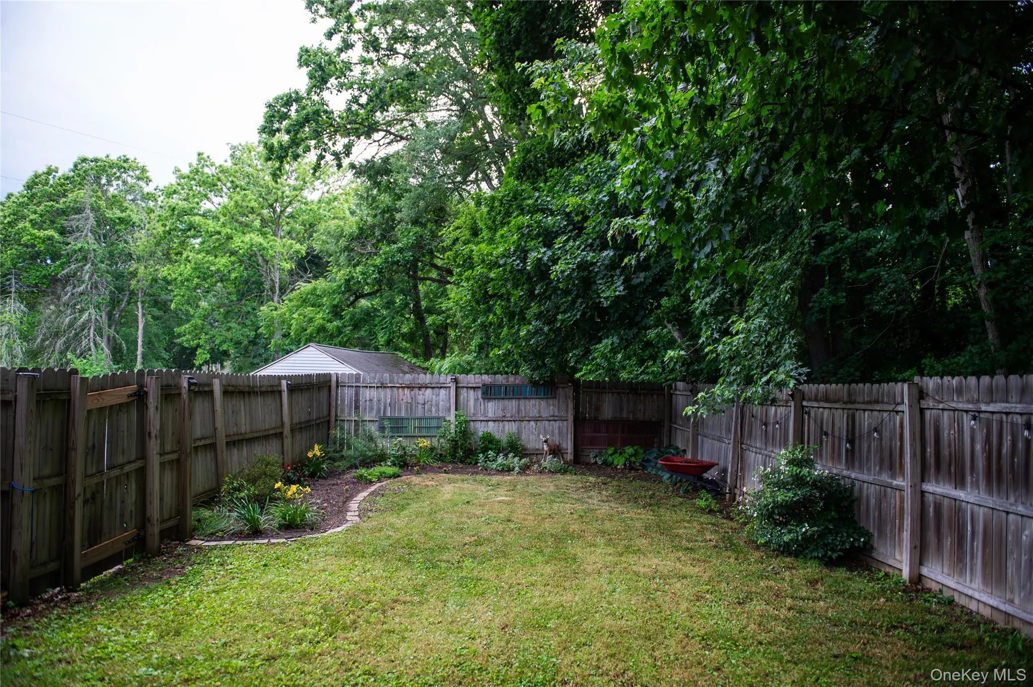 6 Henry Street, Poughkeepsie, NY, 2 Bedrooms Bedrooms, 5 Rooms Rooms,1 BathroomBathrooms,Residential Lease,For Rent,Henry,0,1015336 6 Henry Street, Poughkeepsie, NY, 2 Bedrooms Bedrooms, 5 Rooms Rooms,1 BathroomBathrooms,Residential Lease,For Rent,Henry,0,1015336
