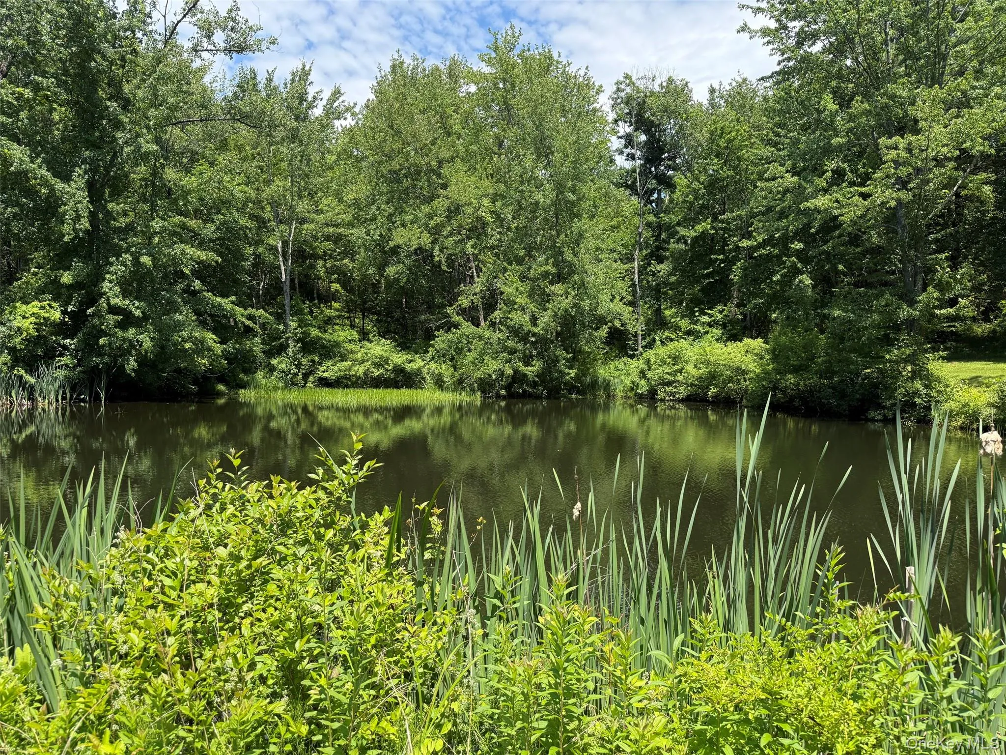 286 Manor Rock Road, Taghkanic, NY, 3 Bedrooms Bedrooms, 6 Rooms Rooms,2 BathroomsBathrooms,Residential,For Rent,Manor Rock,0,1015339 286 Manor Rock Road, Taghkanic, NY, 3 Bedrooms Bedrooms, 6 Rooms Rooms,2 BathroomsBathrooms,Residential,For Rent,Manor Rock,0,1015339