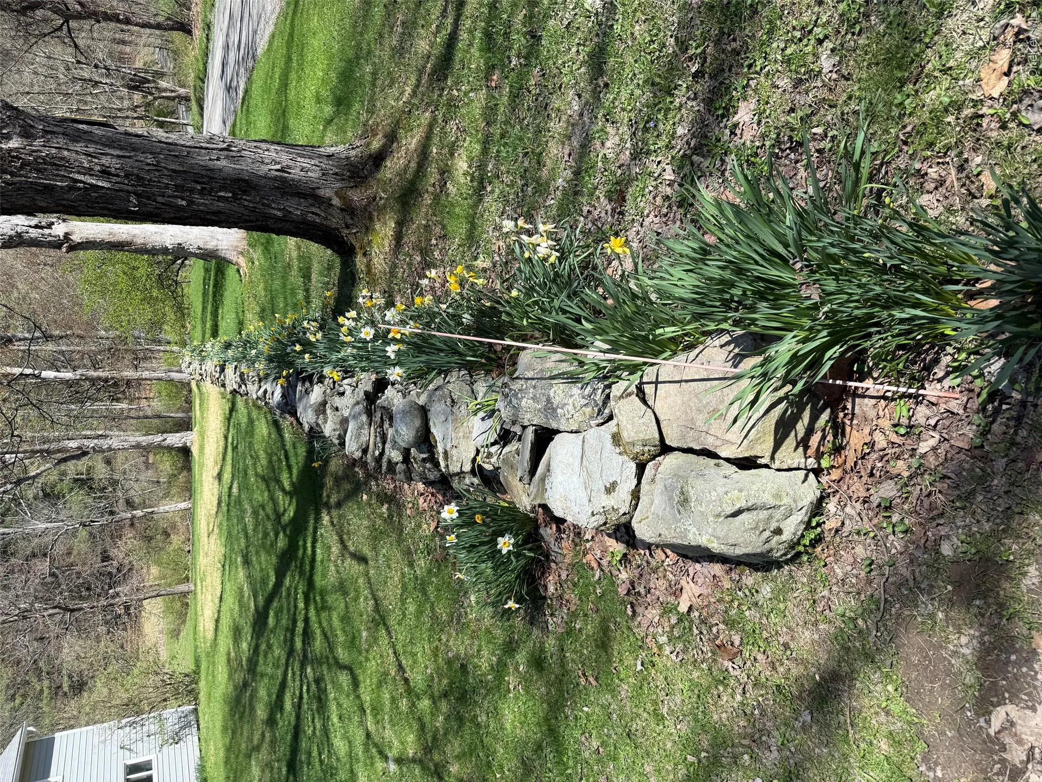 286 Manor Rock Road, Taghkanic, NY, 3 Bedrooms Bedrooms, 6 Rooms Rooms,2 BathroomsBathrooms,Residential,For Rent,Manor Rock,0,1015339 286 Manor Rock Road, Taghkanic, NY, 3 Bedrooms Bedrooms, 6 Rooms Rooms,2 BathroomsBathrooms,Residential,For Rent,Manor Rock,0,1015339