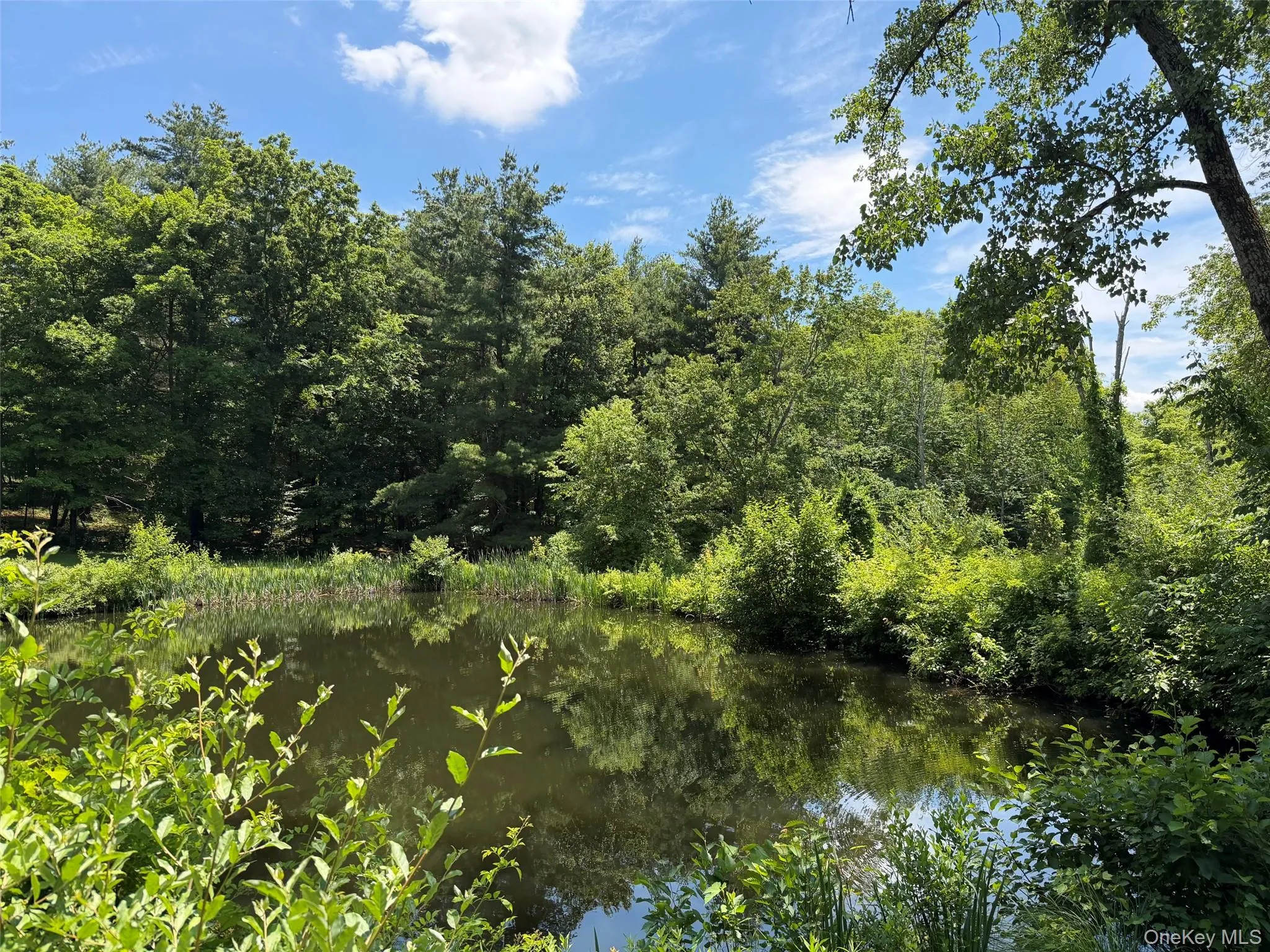 286 Manor Rock Road, Taghkanic, NY, 3 Bedrooms Bedrooms, 6 Rooms Rooms,2 BathroomsBathrooms,Residential,For Rent,Manor Rock,0,1015339 286 Manor Rock Road, Taghkanic, NY, 3 Bedrooms Bedrooms, 6 Rooms Rooms,2 BathroomsBathrooms,Residential,For Rent,Manor Rock,0,1015339