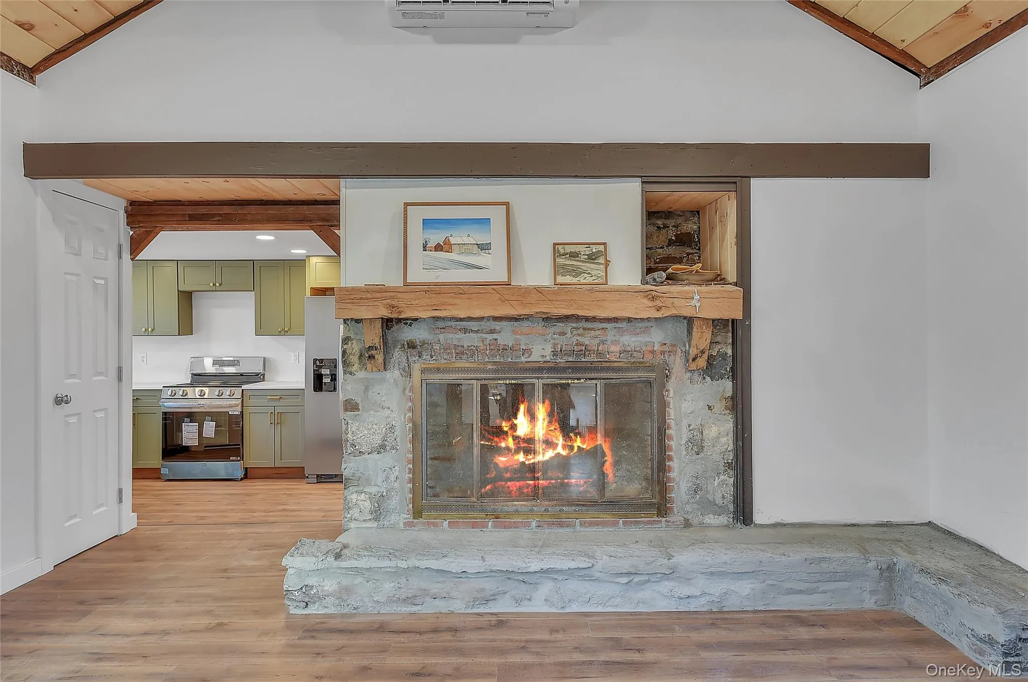 Detailed view of stainless steel appliances, wood finished floors, and a fireplace Detailed view of stainless steel appliances, wood finished floors, and a fireplace