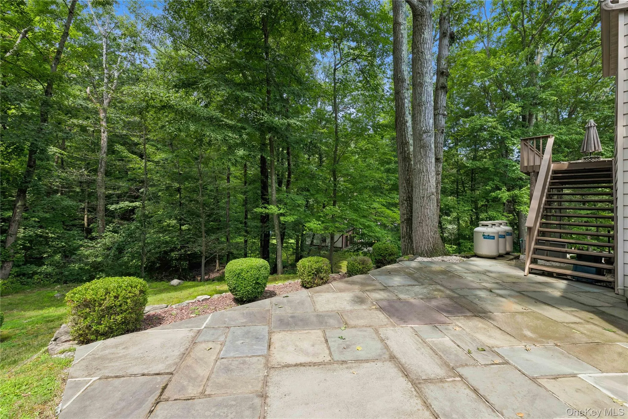 Backyard Backyard