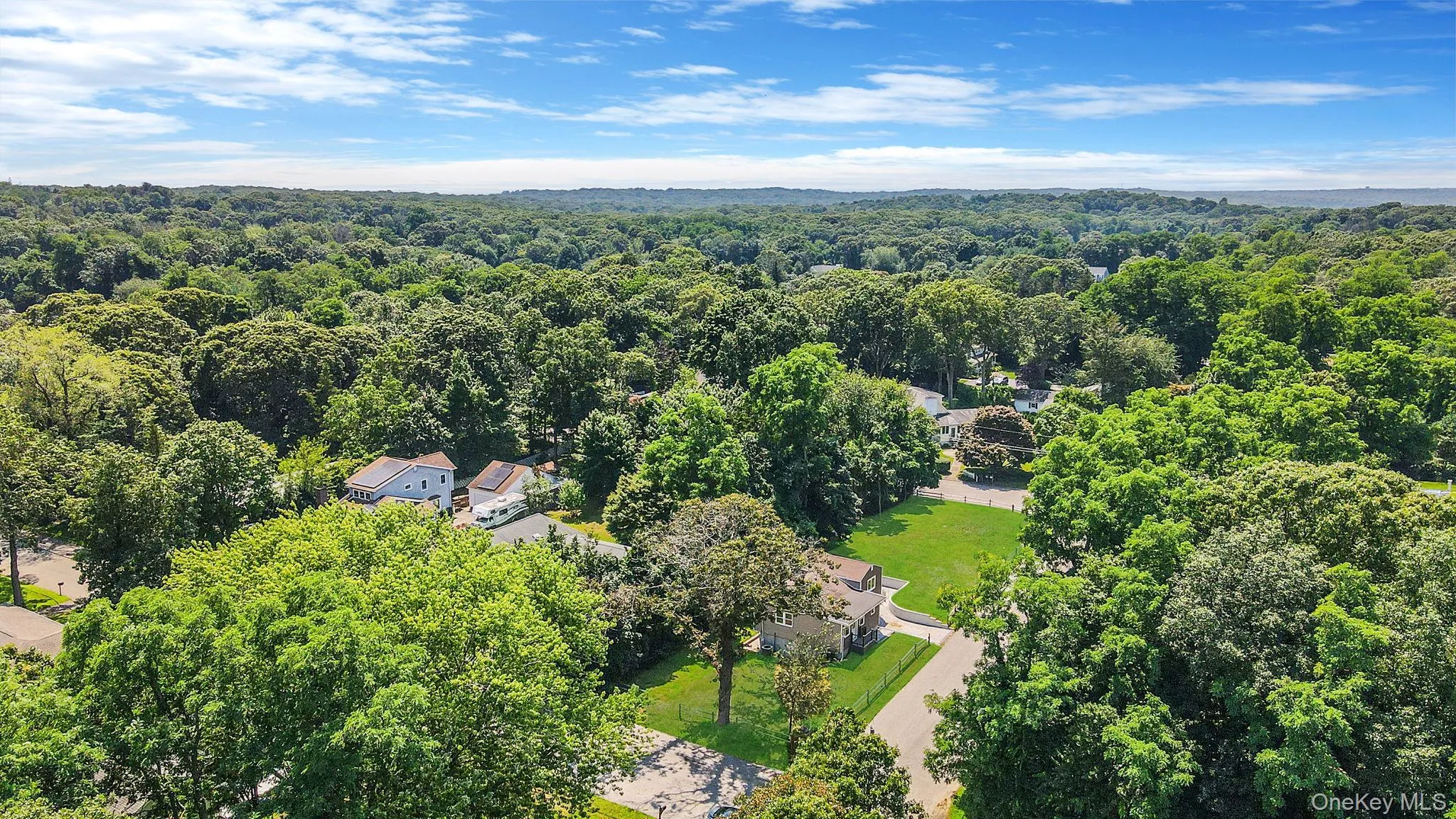 Drone / aerial view of a forest Drone / aerial view of a forest