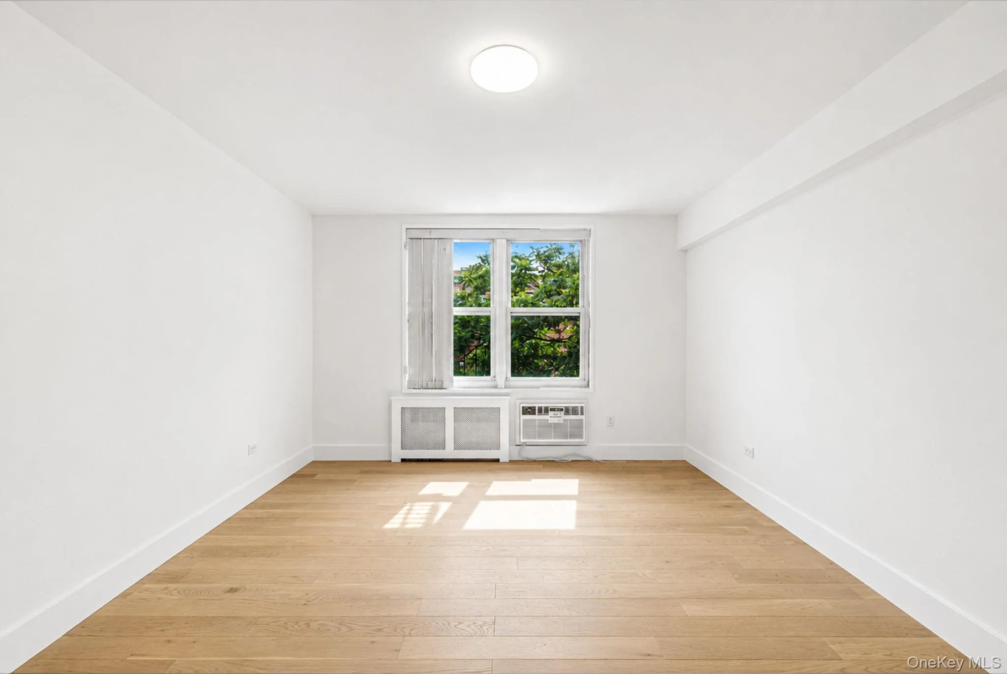 134-54 Maple Avenue, New York, NY, 1 Bedroom Bedrooms, 4 Rooms Rooms,1 BathroomBathrooms,Residential,For Rent,Maple,0,1015471 134-54 Maple Avenue, New York, NY, 1 Bedroom Bedrooms, 4 Rooms Rooms,1 BathroomBathrooms,Residential,For Rent,Maple,0,1015471