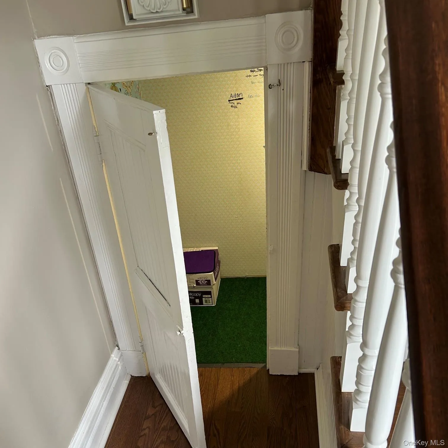 Secret Playroom Secret Playroom