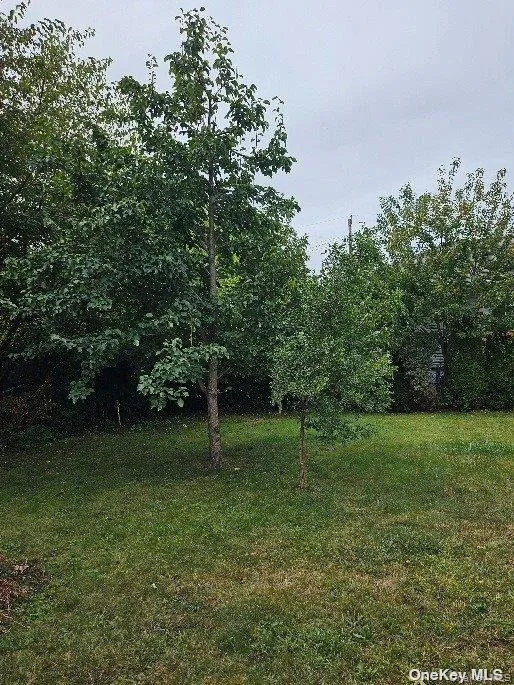 806 Oliver Avenue, Hempstead, NY, 2 Bedrooms Bedrooms, 5 Rooms Rooms,1 BathroomBathrooms,Residential Lease,For Rent,Oliver,0,1015493 806 Oliver Avenue, Hempstead, NY, 2 Bedrooms Bedrooms, 5 Rooms Rooms,1 BathroomBathrooms,Residential Lease,For Rent,Oliver,0,1015493