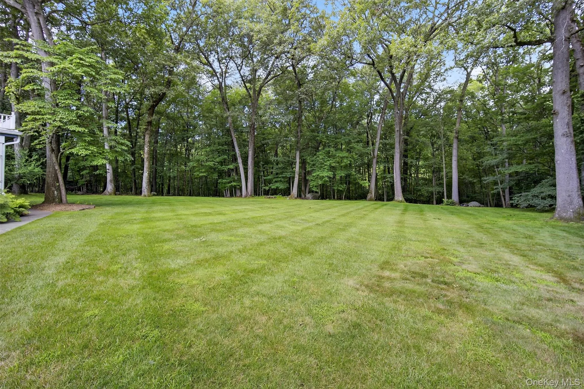 View of green lawn View of green lawn