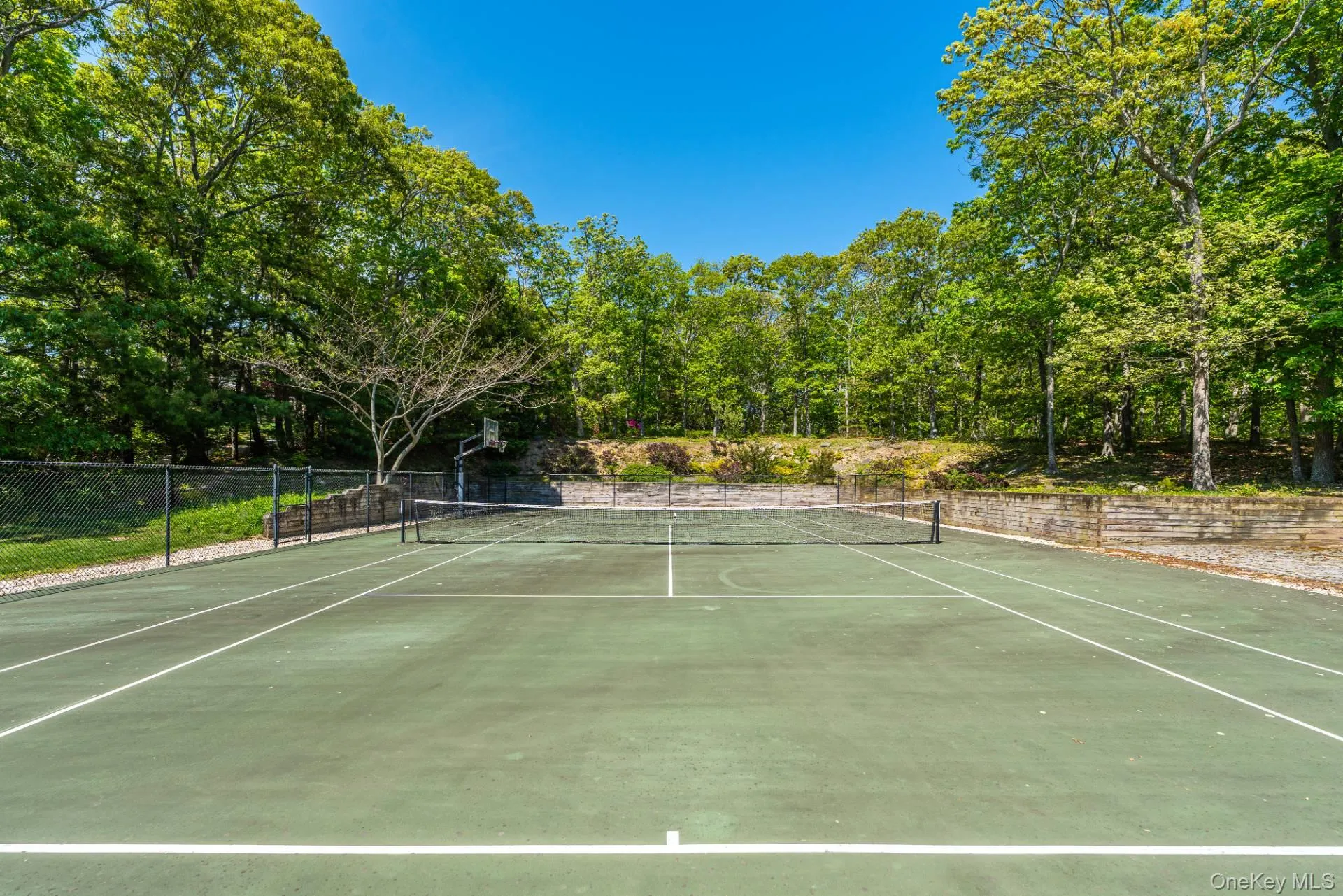 Tennis & Basketball Tennis & Basketball