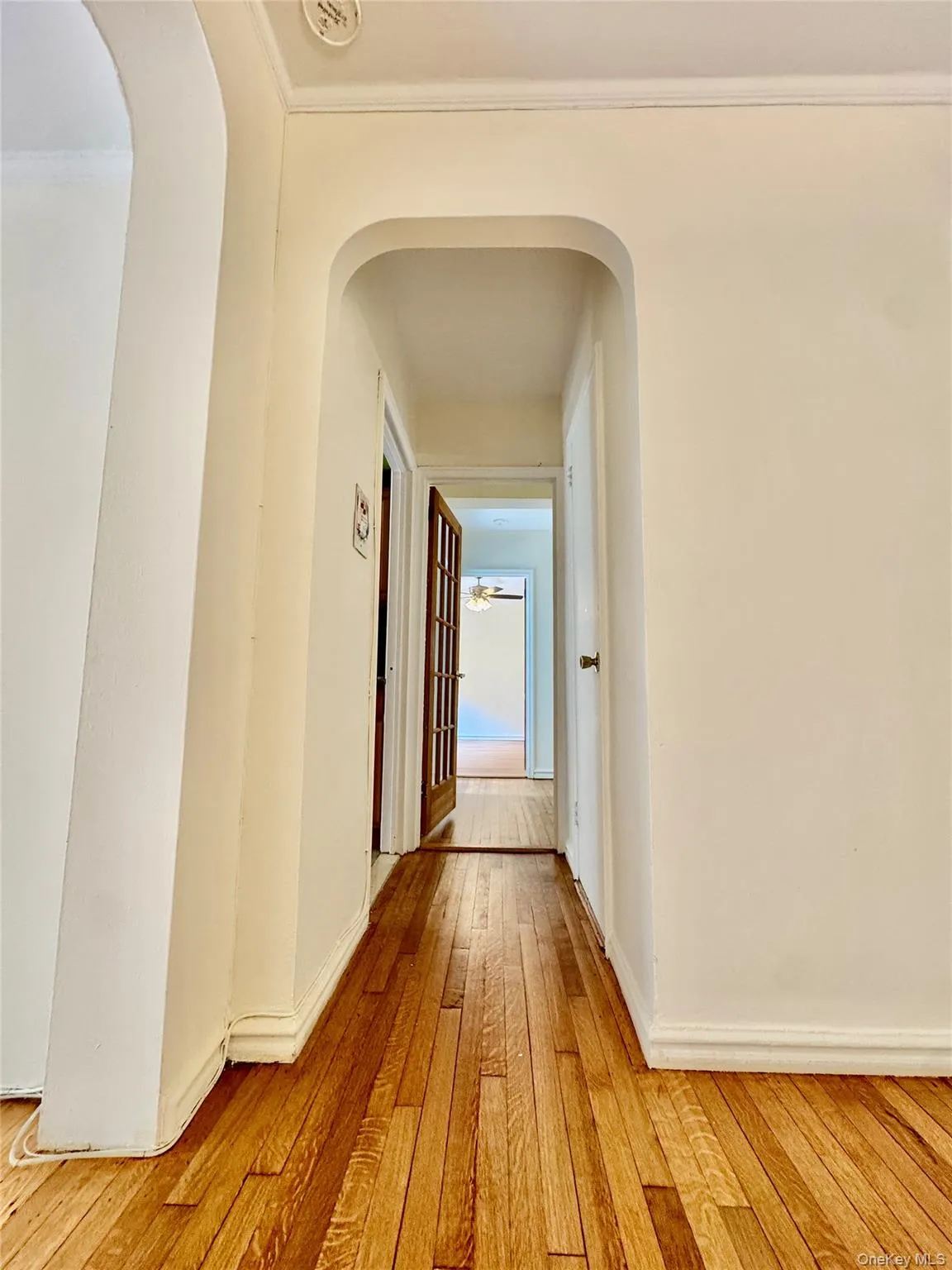 113-14 72nd Road, New York, NY, 2 Bedrooms Bedrooms, 6 Rooms Rooms,1 BathroomBathrooms,Residential,For Rent,72nd,0,1015568 113-14 72nd Road, New York, NY, 2 Bedrooms Bedrooms, 6 Rooms Rooms,1 BathroomBathrooms,Residential,For Rent,72nd,0,1015568