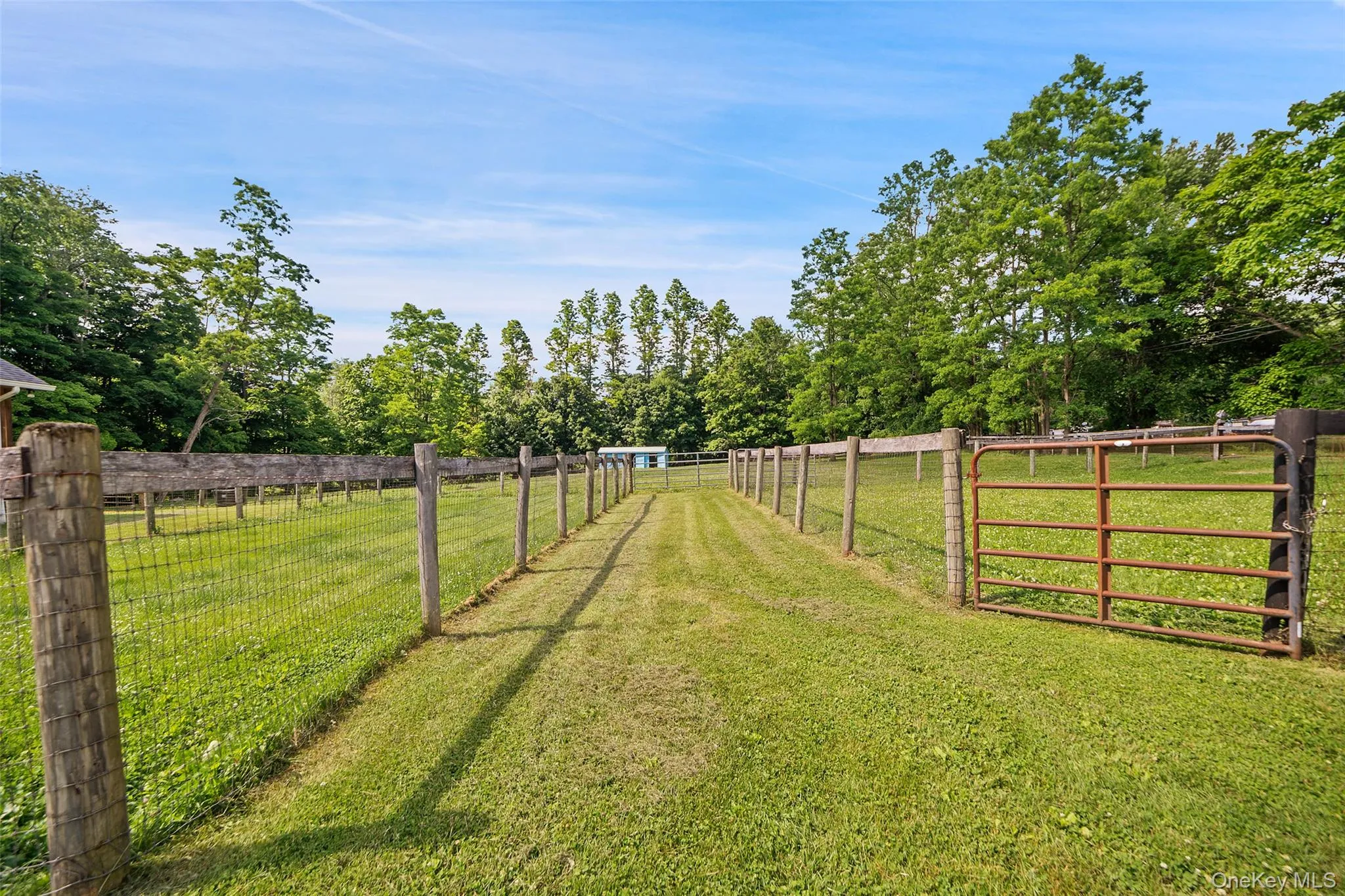 Paddocks Paddocks