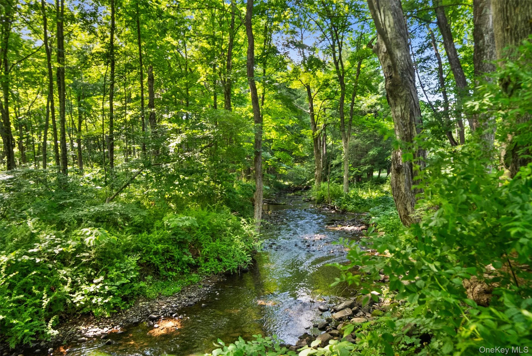 73 Lake Ellis Road, Dover, NY, 3 Bedrooms Bedrooms, 10 Rooms Rooms,2 BathroomsBathrooms,Residential,For Rent,Lake Ellis,0,1015591 73 Lake Ellis Road, Dover, NY, 3 Bedrooms Bedrooms, 10 Rooms Rooms,2 BathroomsBathrooms,Residential,For Rent,Lake Ellis,0,1015591