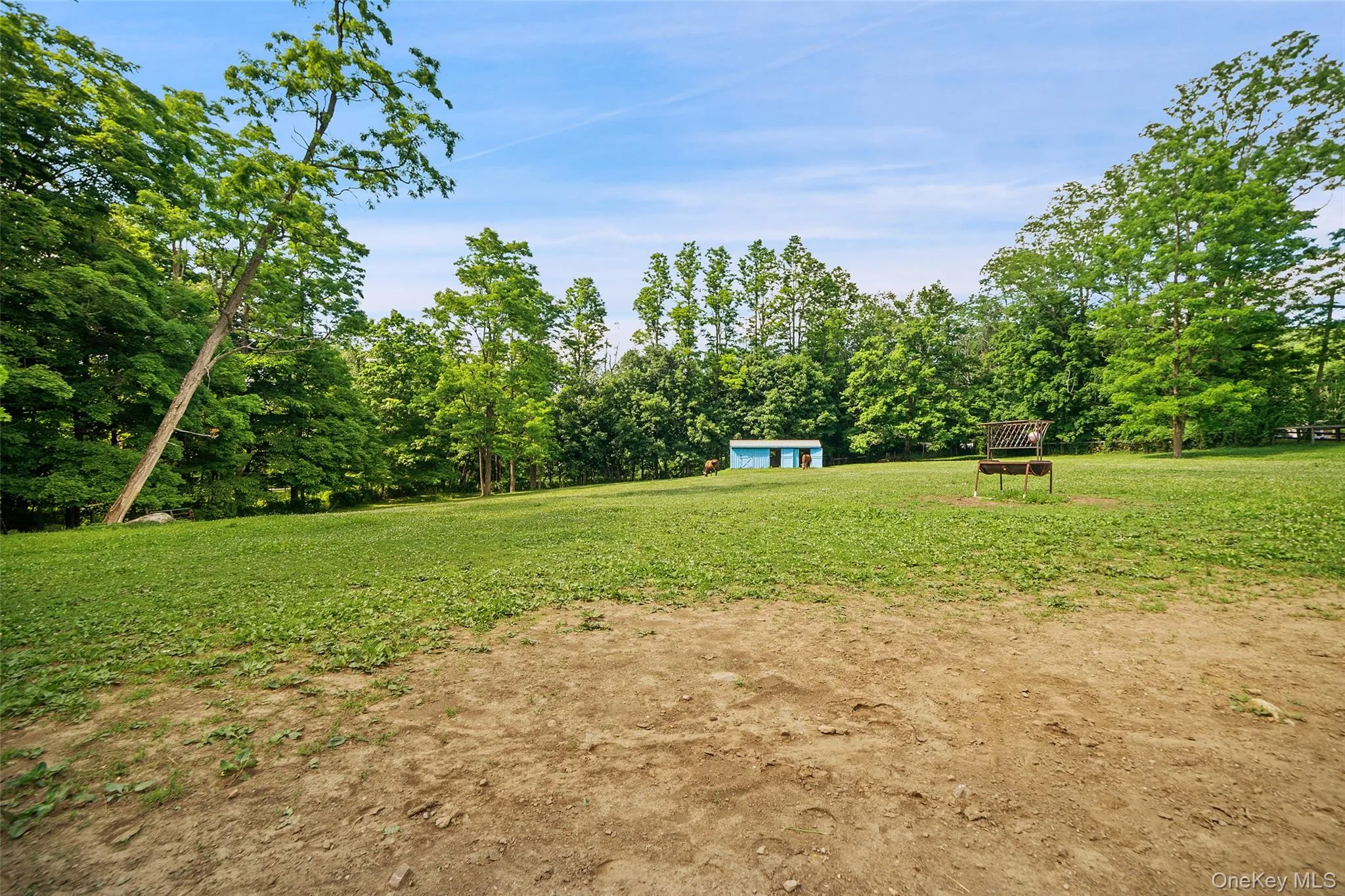 1st field with extra stalls 1st field with extra stalls