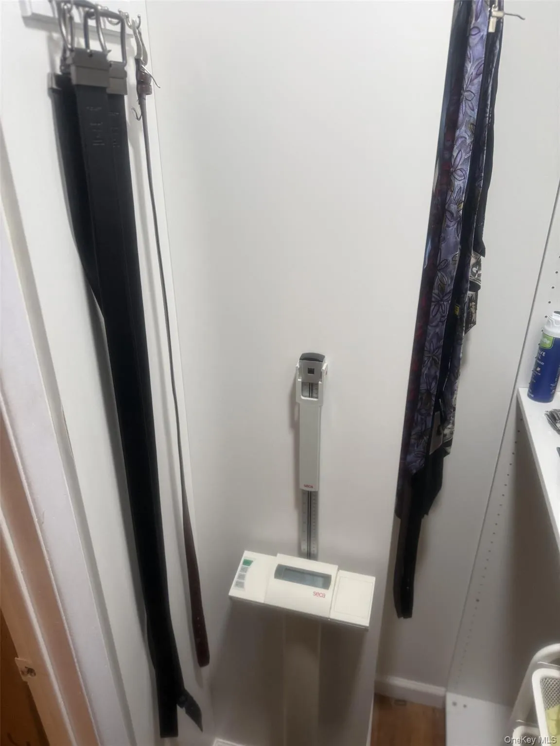 14 Green Place, Brookhaven, NY, 4 Bedrooms Bedrooms, 12 Rooms Rooms,2 BathroomsBathrooms,Residential Lease,For Rent,Green,0,1015607 14 Green Place, Brookhaven, NY, 4 Bedrooms Bedrooms, 12 Rooms Rooms,2 BathroomsBathrooms,Residential Lease,For Rent,Green,0,1015607
