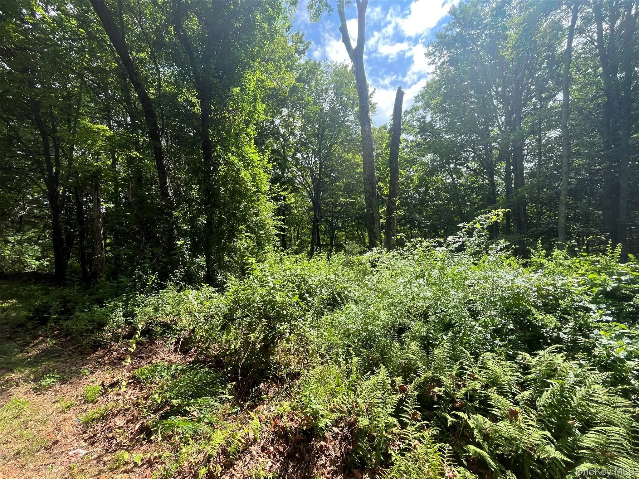 1145 Glasco Turnpike, Saugerties, NY, 3 Bedrooms Bedrooms, 5 Rooms Rooms,2 BathroomsBathrooms,Residential,For Rent,Glasco,0,1015646 1145 Glasco Turnpike, Saugerties, NY, 3 Bedrooms Bedrooms, 5 Rooms Rooms,2 BathroomsBathrooms,Residential,For Rent,Glasco,0,1015646