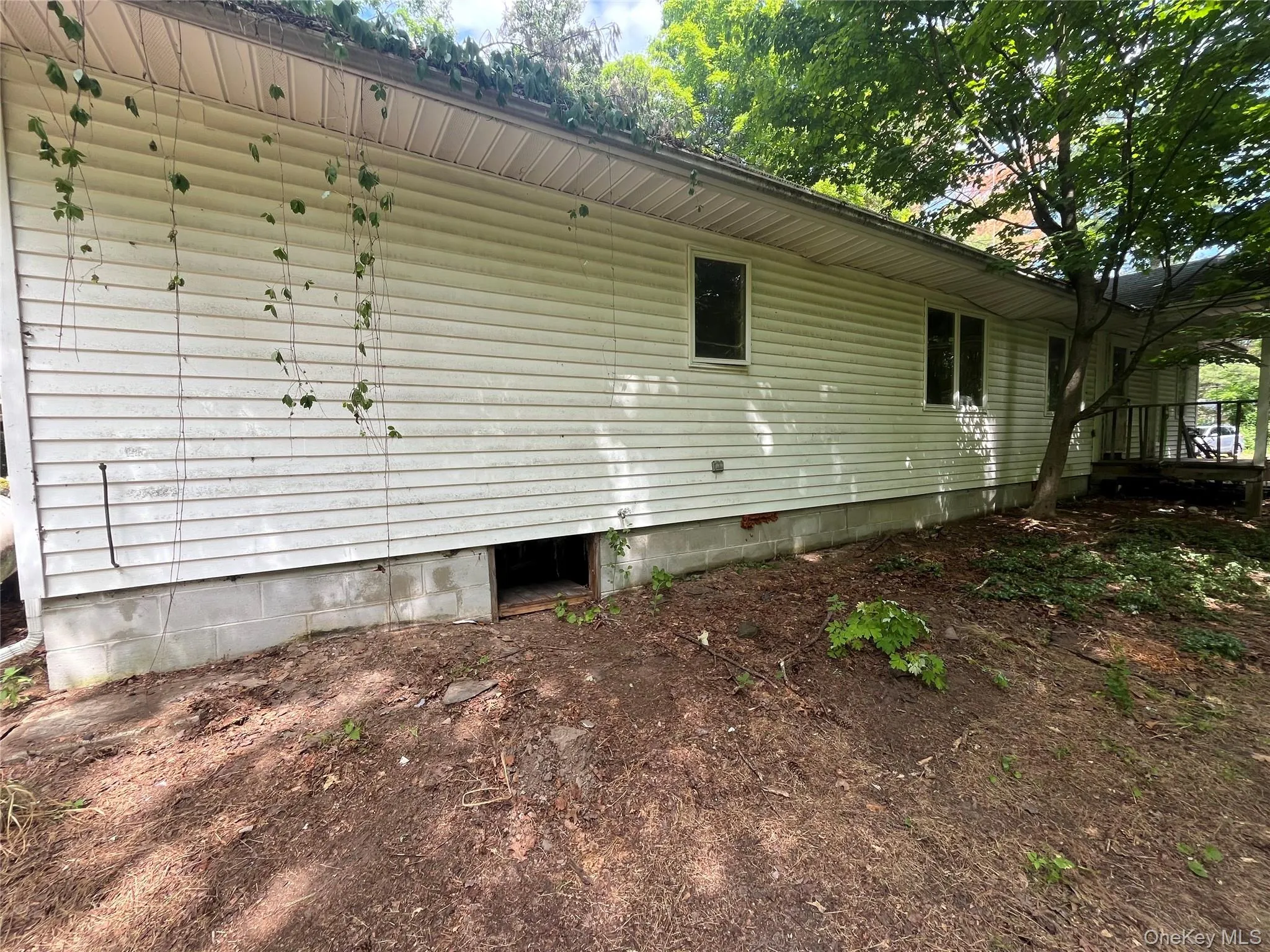 1145 Glasco Turnpike, Saugerties, NY, 3 Bedrooms Bedrooms, 5 Rooms Rooms,2 BathroomsBathrooms,Residential,For Rent,Glasco,0,1015646 1145 Glasco Turnpike, Saugerties, NY, 3 Bedrooms Bedrooms, 5 Rooms Rooms,2 BathroomsBathrooms,Residential,For Rent,Glasco,0,1015646