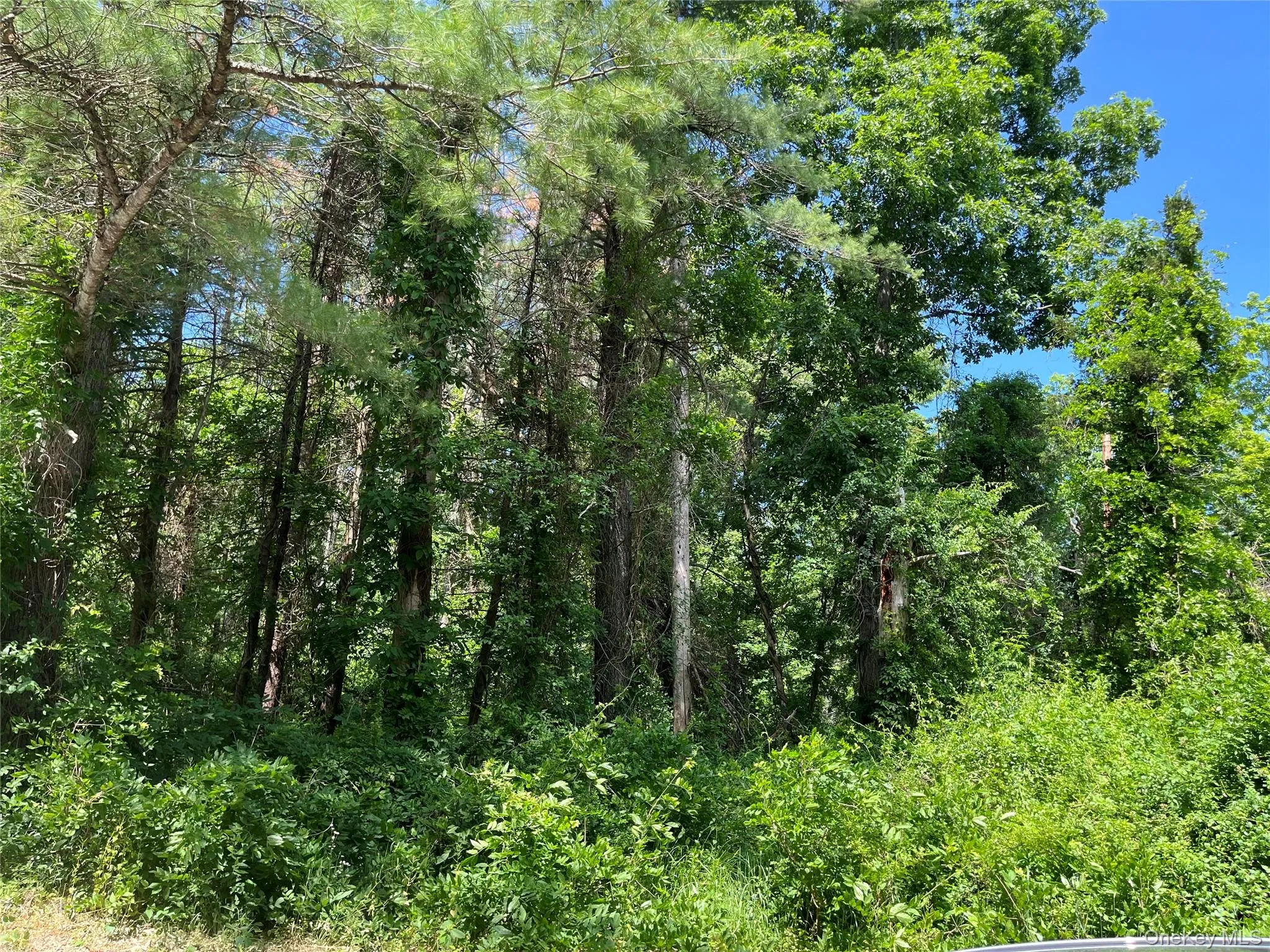 1145 Glasco Turnpike, Saugerties, NY, 3 Bedrooms Bedrooms, 5 Rooms Rooms,2 BathroomsBathrooms,Residential,For Rent,Glasco,0,1015646 1145 Glasco Turnpike, Saugerties, NY, 3 Bedrooms Bedrooms, 5 Rooms Rooms,2 BathroomsBathrooms,Residential,For Rent,Glasco,0,1015646