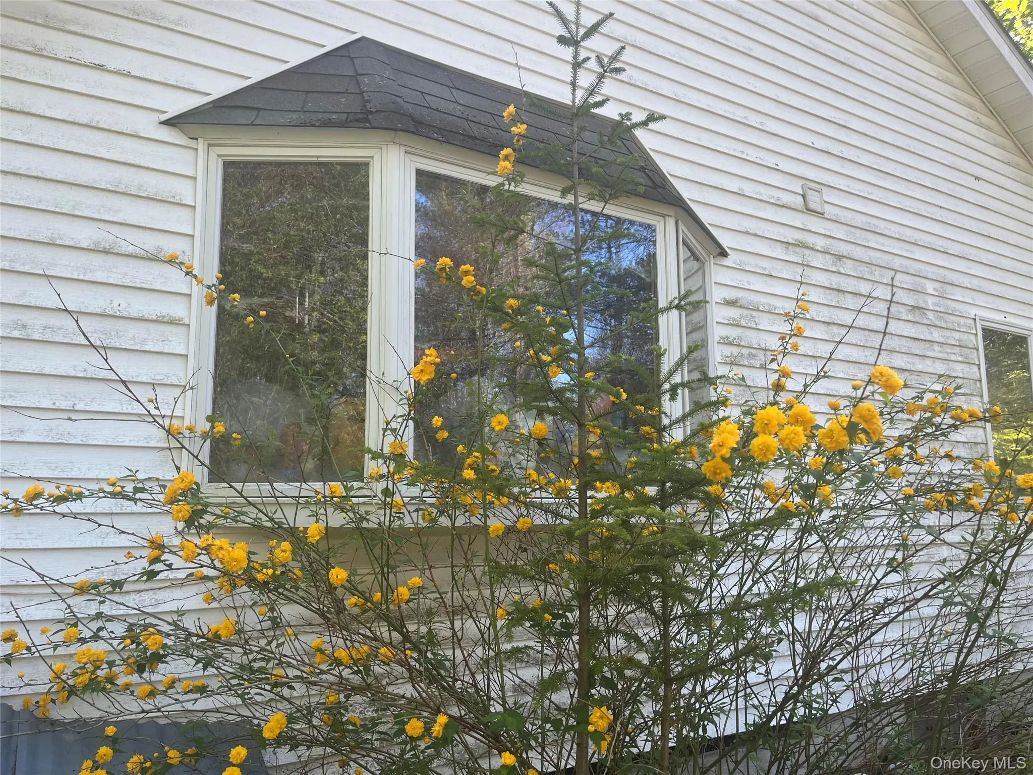 1145 Glasco Turnpike, Saugerties, NY, 3 Bedrooms Bedrooms, 5 Rooms Rooms,2 BathroomsBathrooms,Residential,For Rent,Glasco,0,1015646 1145 Glasco Turnpike, Saugerties, NY, 3 Bedrooms Bedrooms, 5 Rooms Rooms,2 BathroomsBathrooms,Residential,For Rent,Glasco,0,1015646