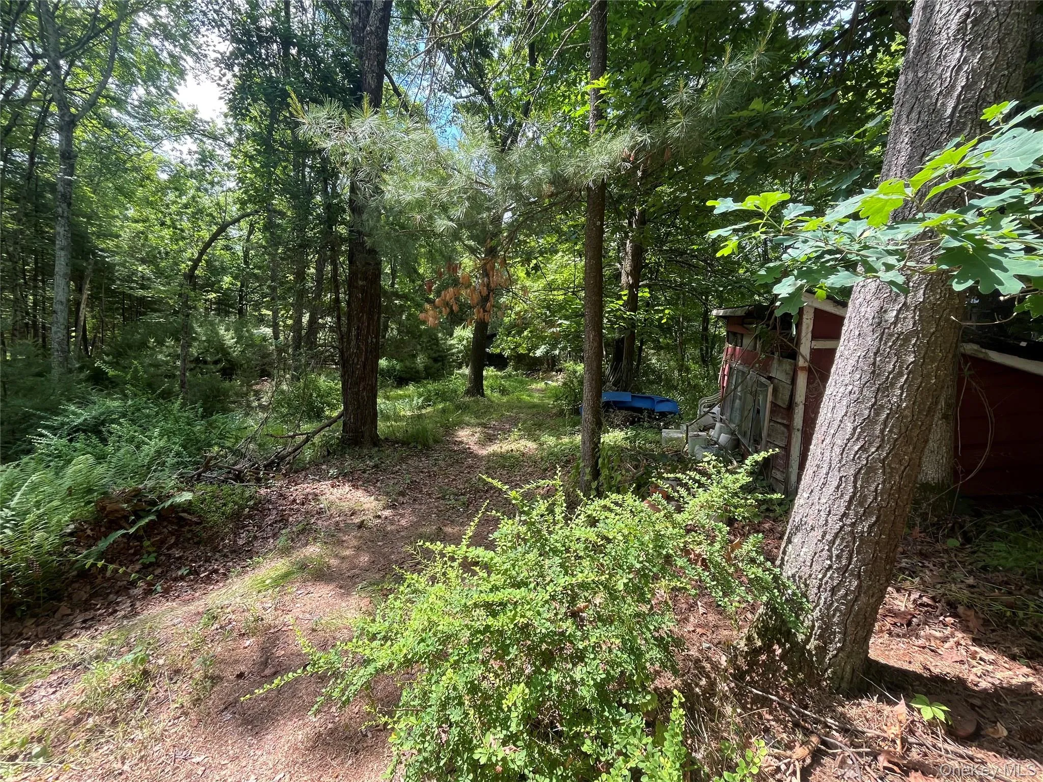 1145 Glasco Turnpike, Saugerties, NY, 3 Bedrooms Bedrooms, 5 Rooms Rooms,2 BathroomsBathrooms,Residential,For Rent,Glasco,0,1015646 1145 Glasco Turnpike, Saugerties, NY, 3 Bedrooms Bedrooms, 5 Rooms Rooms,2 BathroomsBathrooms,Residential,For Rent,Glasco,0,1015646