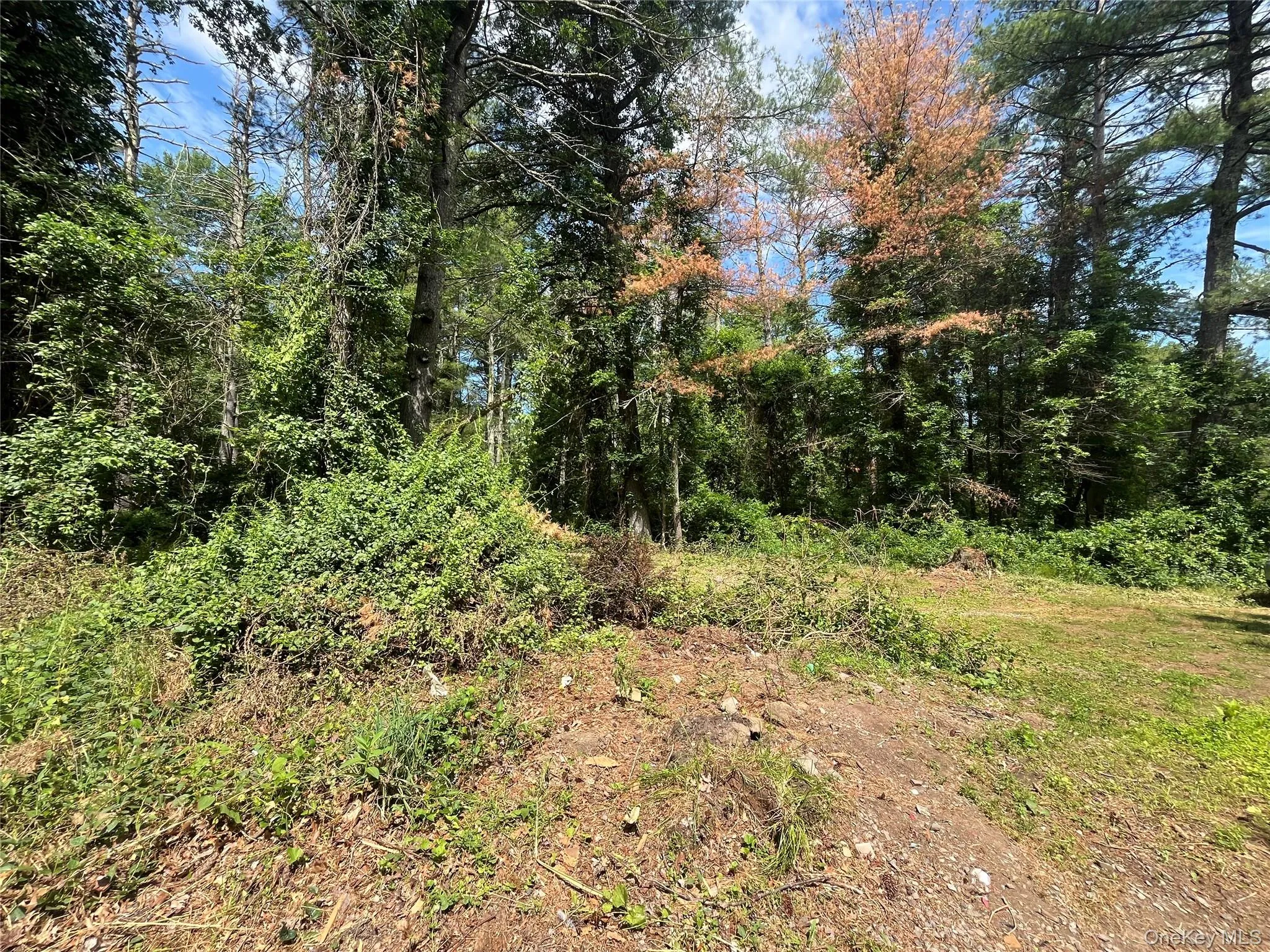 1145 Glasco Turnpike, Saugerties, NY, 3 Bedrooms Bedrooms, 5 Rooms Rooms,2 BathroomsBathrooms,Residential,For Rent,Glasco,0,1015646 1145 Glasco Turnpike, Saugerties, NY, 3 Bedrooms Bedrooms, 5 Rooms Rooms,2 BathroomsBathrooms,Residential,For Rent,Glasco,0,1015646