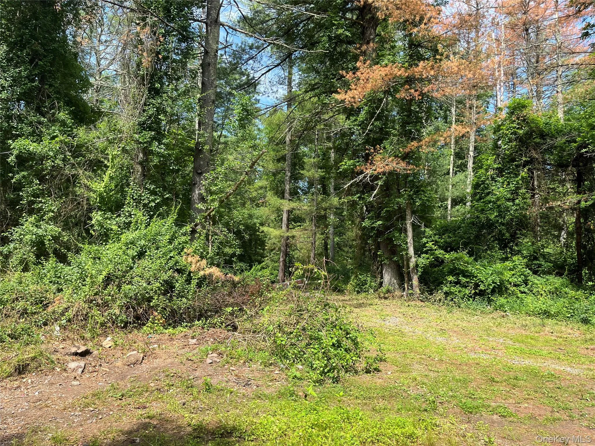 1145 Glasco Turnpike, Saugerties, NY, 3 Bedrooms Bedrooms, 5 Rooms Rooms,2 BathroomsBathrooms,Residential,For Rent,Glasco,0,1015646 1145 Glasco Turnpike, Saugerties, NY, 3 Bedrooms Bedrooms, 5 Rooms Rooms,2 BathroomsBathrooms,Residential,For Rent,Glasco,0,1015646