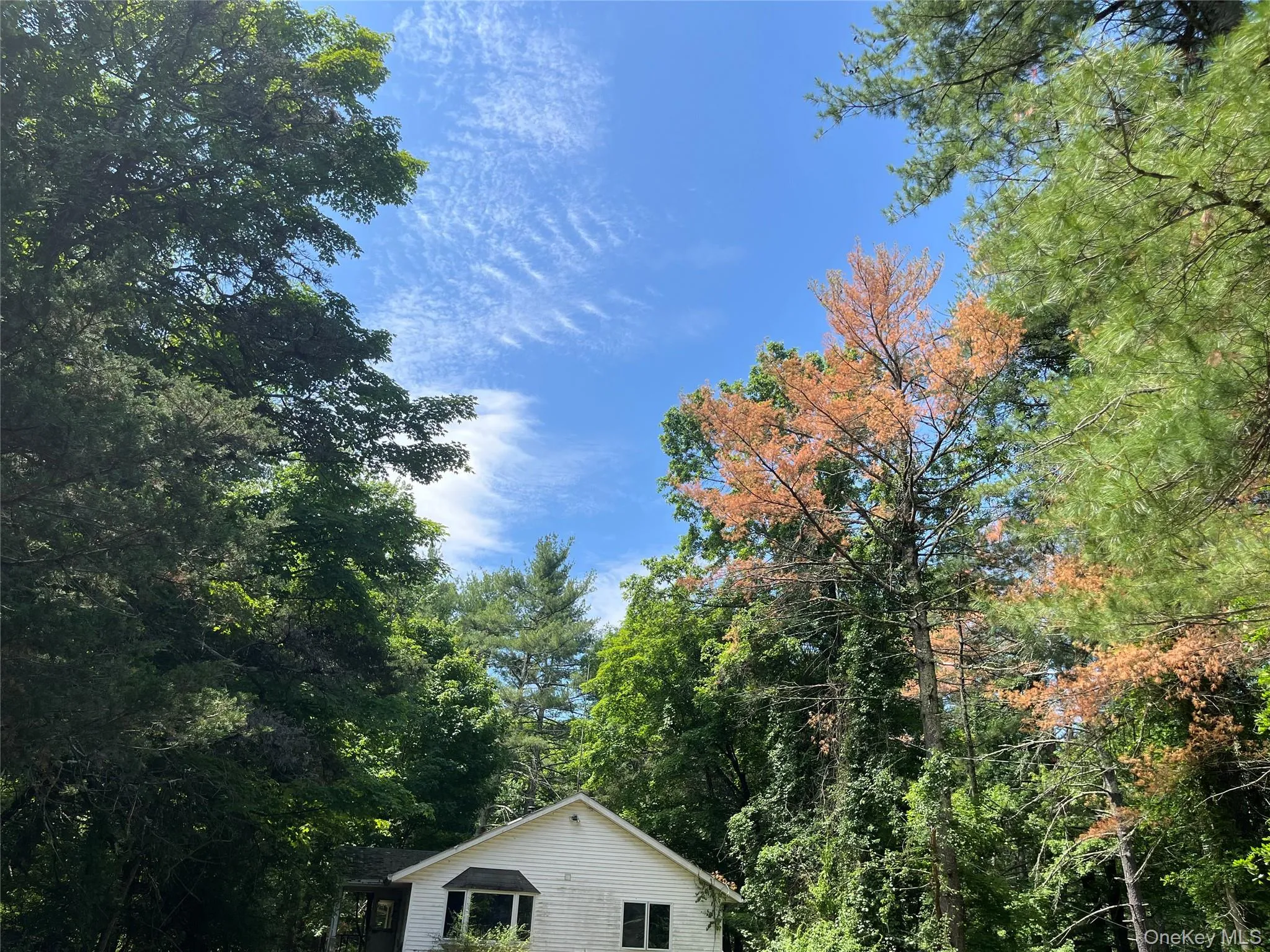 1145 Glasco Turnpike, Saugerties, NY, 3 Bedrooms Bedrooms, 5 Rooms Rooms,2 BathroomsBathrooms,Residential,For Rent,Glasco,0,1015646 1145 Glasco Turnpike, Saugerties, NY, 3 Bedrooms Bedrooms, 5 Rooms Rooms,2 BathroomsBathrooms,Residential,For Rent,Glasco,0,1015646