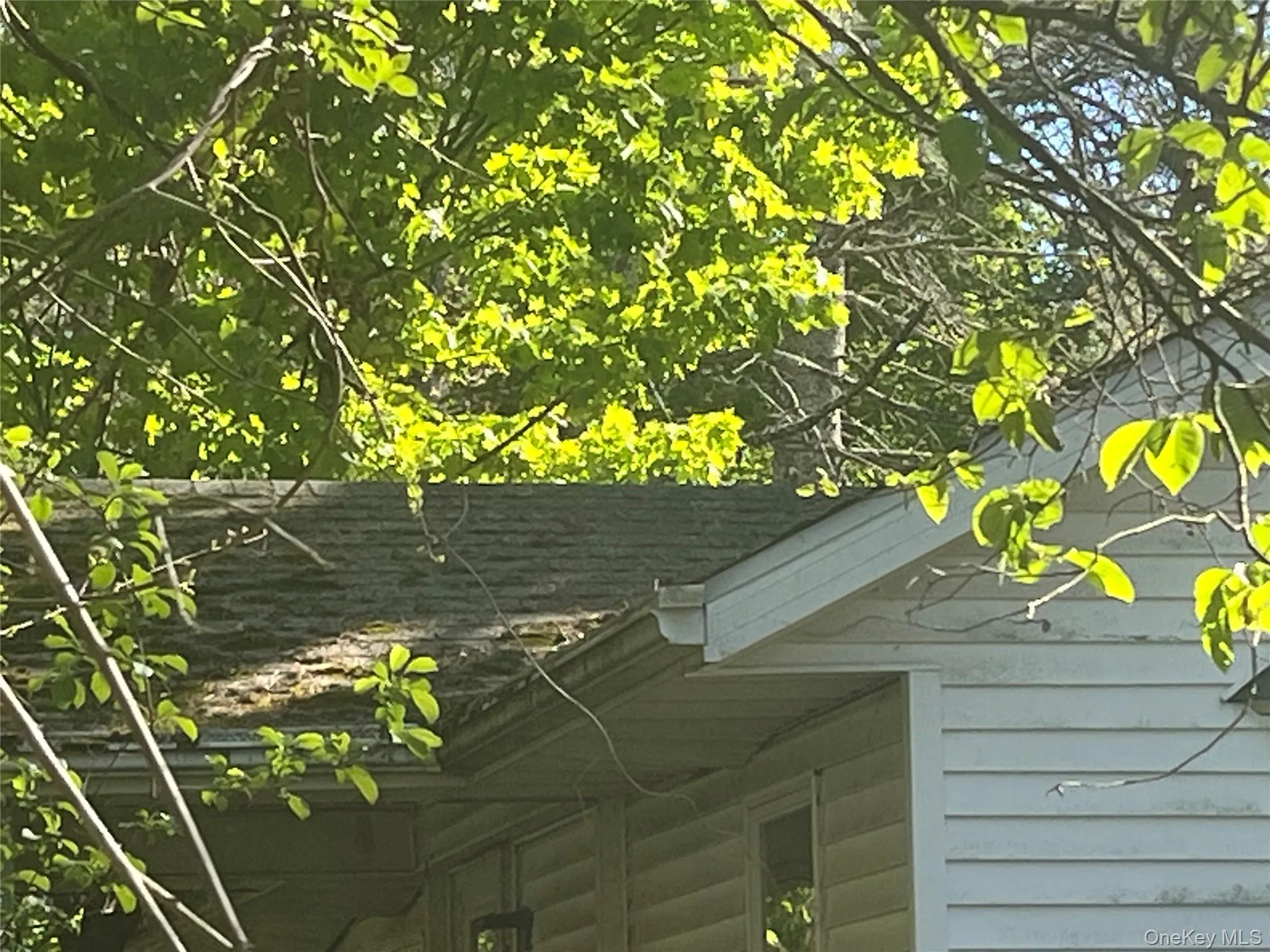 1145 Glasco Turnpike, Saugerties, NY, 3 Bedrooms Bedrooms, 5 Rooms Rooms,2 BathroomsBathrooms,Residential,For Rent,Glasco,0,1015646 1145 Glasco Turnpike, Saugerties, NY, 3 Bedrooms Bedrooms, 5 Rooms Rooms,2 BathroomsBathrooms,Residential,For Rent,Glasco,0,1015646