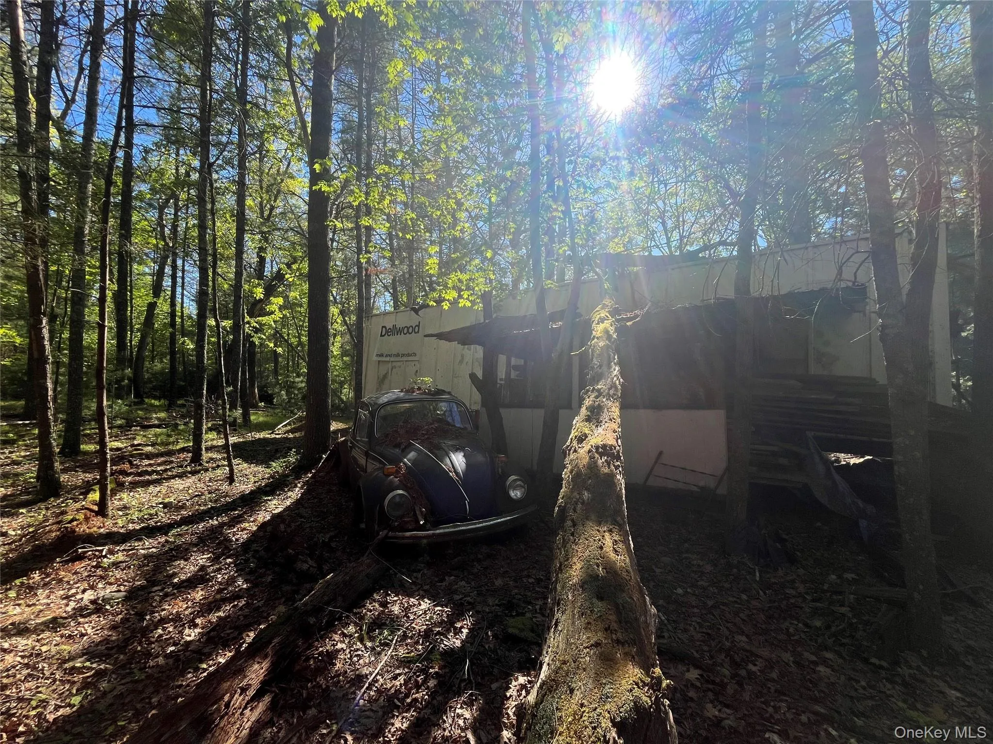 1145 Glasco Turnpike, Saugerties, NY, 3 Bedrooms Bedrooms, 5 Rooms Rooms,2 BathroomsBathrooms,Residential,For Rent,Glasco,0,1015646 1145 Glasco Turnpike, Saugerties, NY, 3 Bedrooms Bedrooms, 5 Rooms Rooms,2 BathroomsBathrooms,Residential,For Rent,Glasco,0,1015646