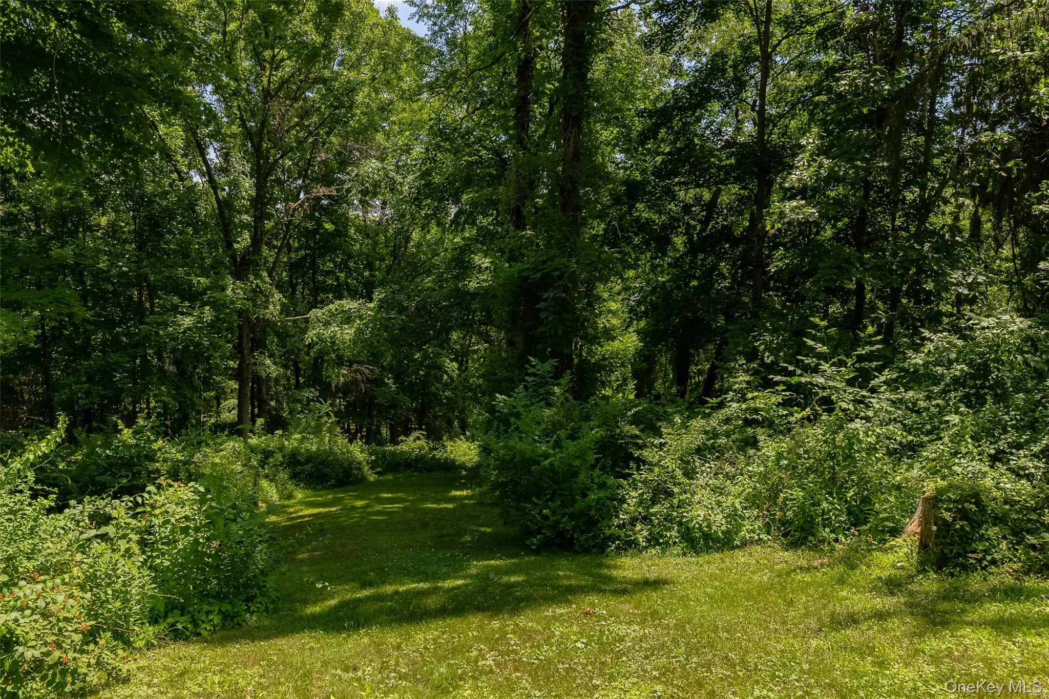 326 Mills Cross Road, Hyde Park, NY, 4 Bedrooms Bedrooms, 8 Rooms Rooms,2 BathroomsBathrooms,Residential,For Rent,Mills Cross,0,KEY1015647 326 Mills Cross Road, Hyde Park, NY, 4 Bedrooms Bedrooms, 8 Rooms Rooms,2 BathroomsBathrooms,Residential,For Rent,Mills Cross,0,KEY1015647