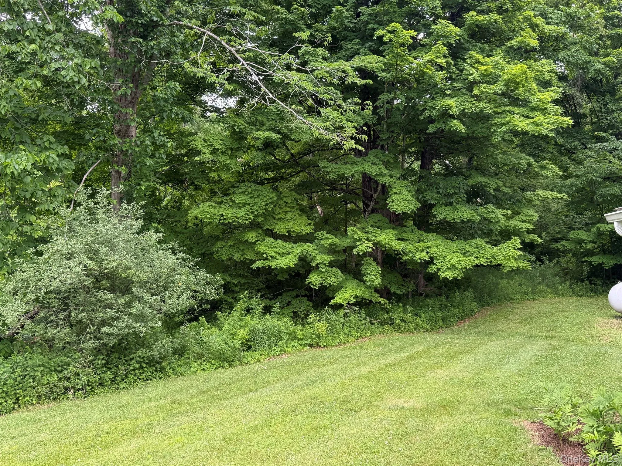 463 DOODLETOWN Road, Gallatin, NY, 2 Bedrooms Bedrooms, 4 Rooms Rooms,2 BathroomsBathrooms,Residential Lease,For Rent,DOODLETOWN,0,1015688 463 DOODLETOWN Road, Gallatin, NY, 2 Bedrooms Bedrooms, 4 Rooms Rooms,2 BathroomsBathrooms,Residential Lease,For Rent,DOODLETOWN,0,1015688