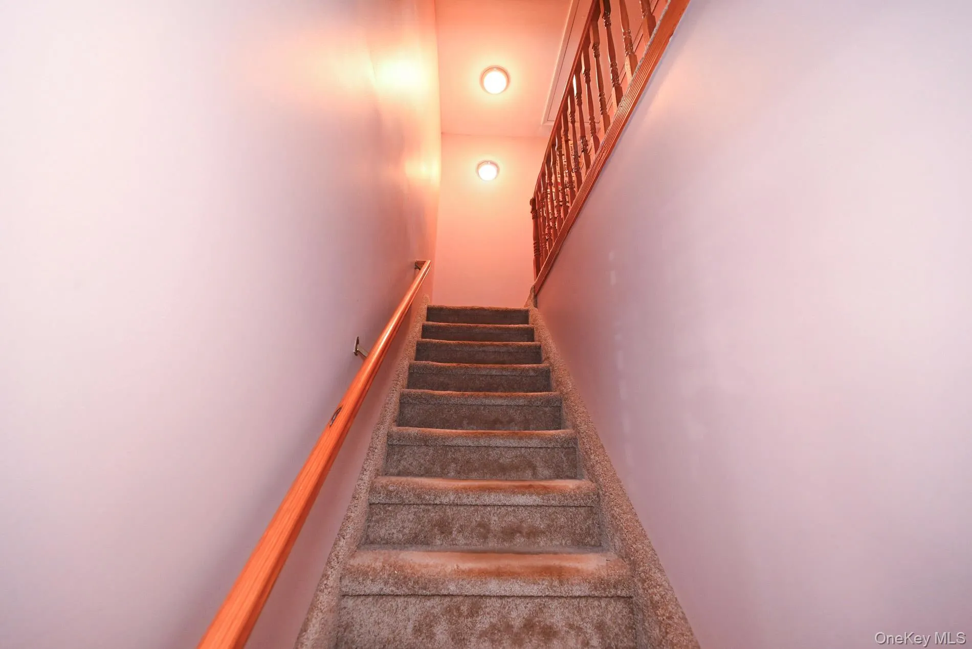 258 Rintin Street, Hempstead, NY, 4 Bedrooms Bedrooms, 8 Rooms Rooms,2 BathroomsBathrooms,Residential,For Rent,Rintin,0,1015712 258 Rintin Street, Hempstead, NY, 4 Bedrooms Bedrooms, 8 Rooms Rooms,2 BathroomsBathrooms,Residential,For Rent,Rintin,0,1015712