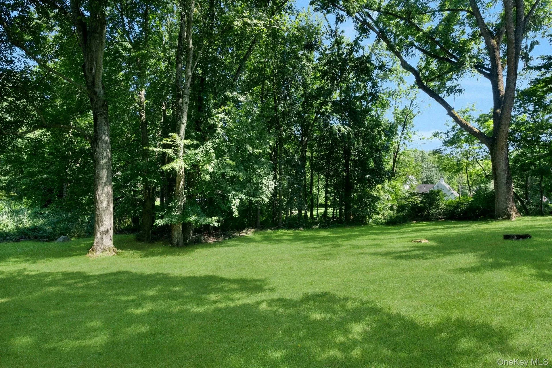 Plenty of room to roam in the backyard shaded by mature trees. Plenty of room to roam in the backyard shaded by mature trees.