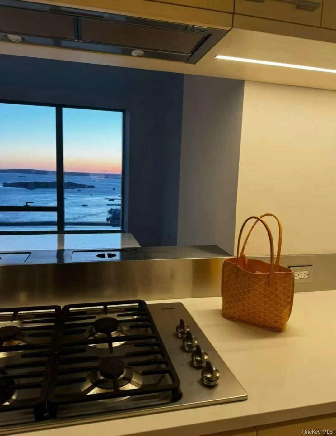 250 South Street, New York, NY, 1 Bedroom Bedrooms, 3 Rooms Rooms,1 BathroomBathrooms,Residential,For Rent,South,0,1015739 250 South Street, New York, NY, 1 Bedroom Bedrooms, 3 Rooms Rooms,1 BathroomBathrooms,Residential,For Rent,South,0,1015739