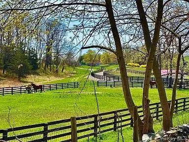 5 Espie Road, Rhinebeck, NY, 2 Bedrooms Bedrooms, 3 Rooms Rooms,2 BathroomsBathrooms,Residential Lease,For Rent,Espie,0,1015753 5 Espie Road, Rhinebeck, NY, 2 Bedrooms Bedrooms, 3 Rooms Rooms,2 BathroomsBathrooms,Residential Lease,For Rent,Espie,0,1015753