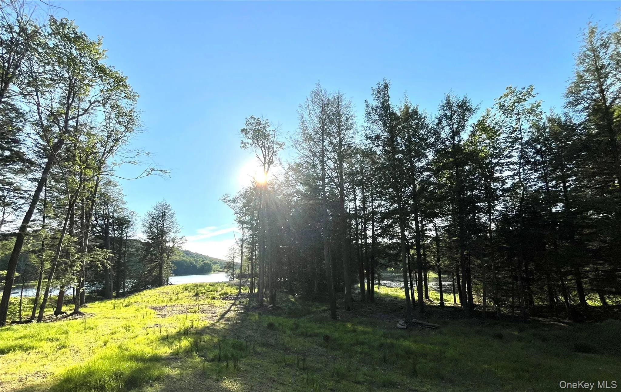 47 Eagles Ridge Way, Liberty, NY, ,Land,For Rent,Eagles Ridge,0,1015771 47 Eagles Ridge Way, Liberty, NY, ,Land,For Rent,Eagles Ridge,0,1015771