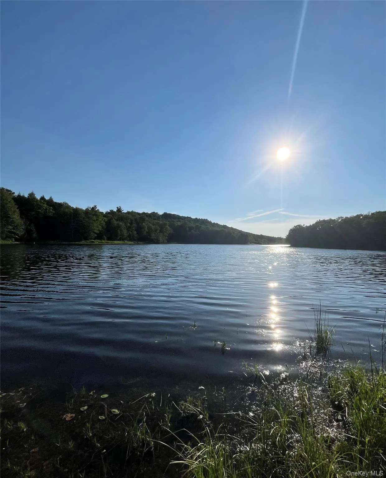 47 Eagles Ridge Way, Liberty, NY, ,Land,For Rent,Eagles Ridge,0,1015771 47 Eagles Ridge Way, Liberty, NY, ,Land,For Rent,Eagles Ridge,0,1015771