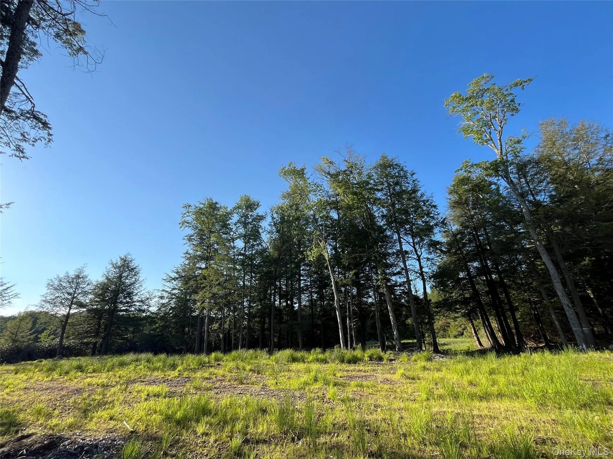 47 Eagles Ridge Way, Liberty, NY, ,Land,For Rent,Eagles Ridge,0,1015771 47 Eagles Ridge Way, Liberty, NY, ,Land,For Rent,Eagles Ridge,0,1015771