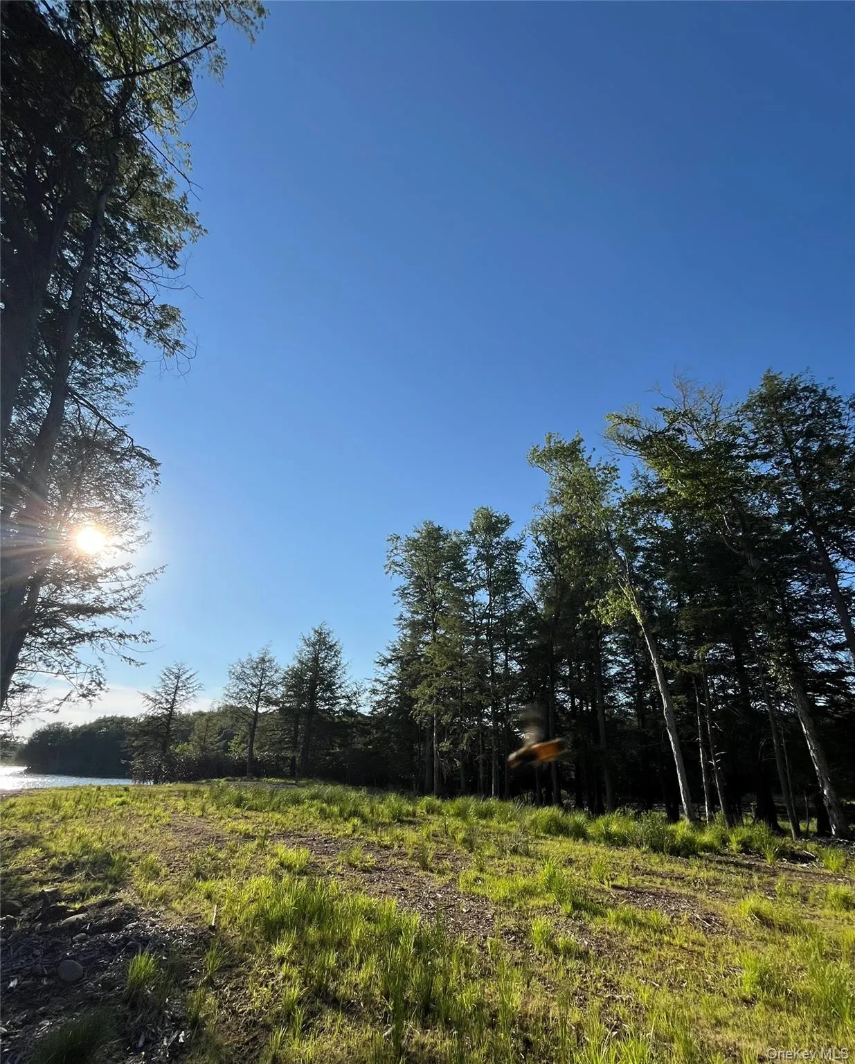 47 Eagles Ridge Way, Liberty, NY, ,Land,For Rent,Eagles Ridge,0,1015771 47 Eagles Ridge Way, Liberty, NY, ,Land,For Rent,Eagles Ridge,0,1015771
