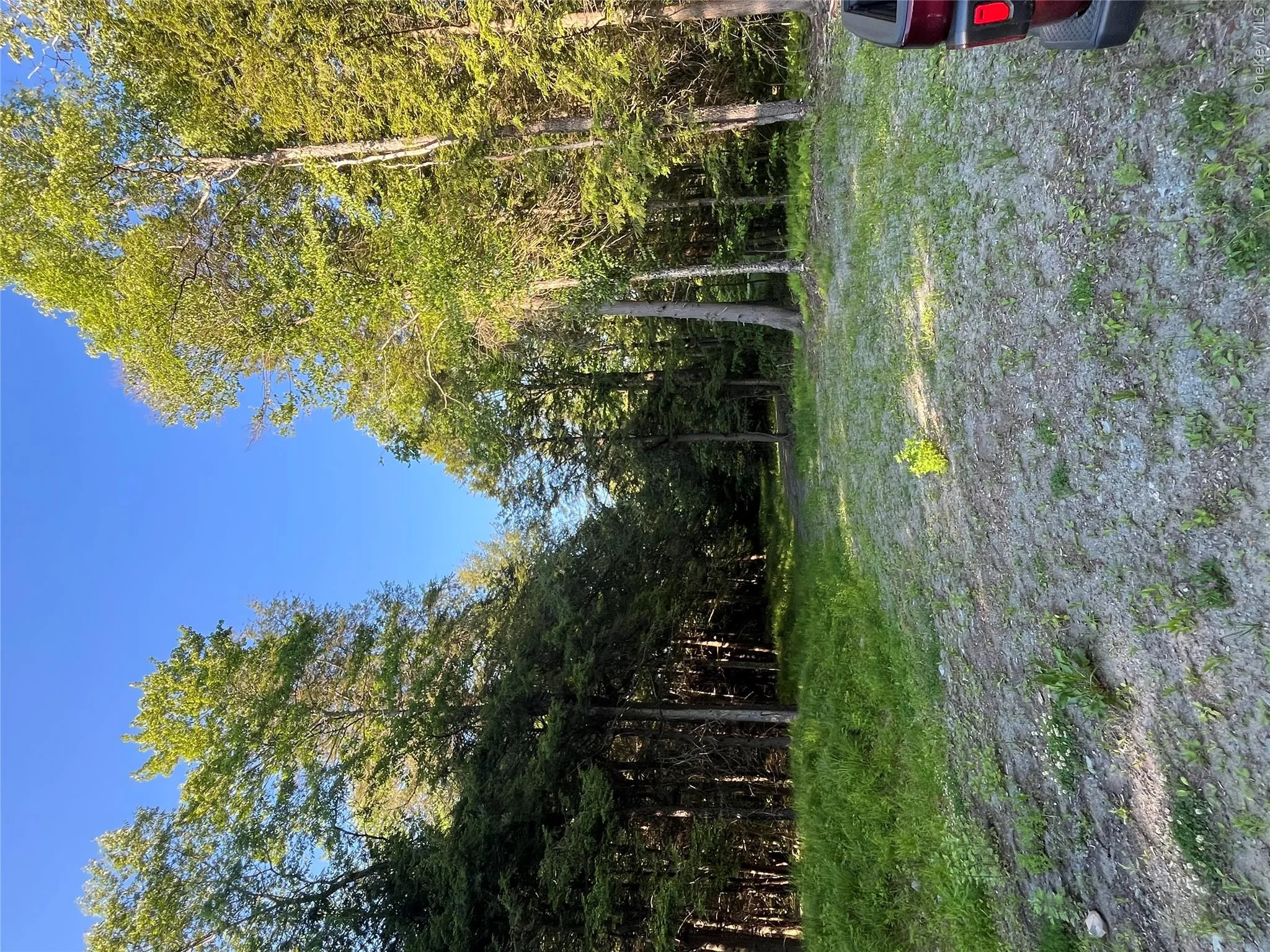 47 Eagles Ridge Way, Liberty, NY, ,Land,For Rent,Eagles Ridge,0,1015771 47 Eagles Ridge Way, Liberty, NY, ,Land,For Rent,Eagles Ridge,0,1015771