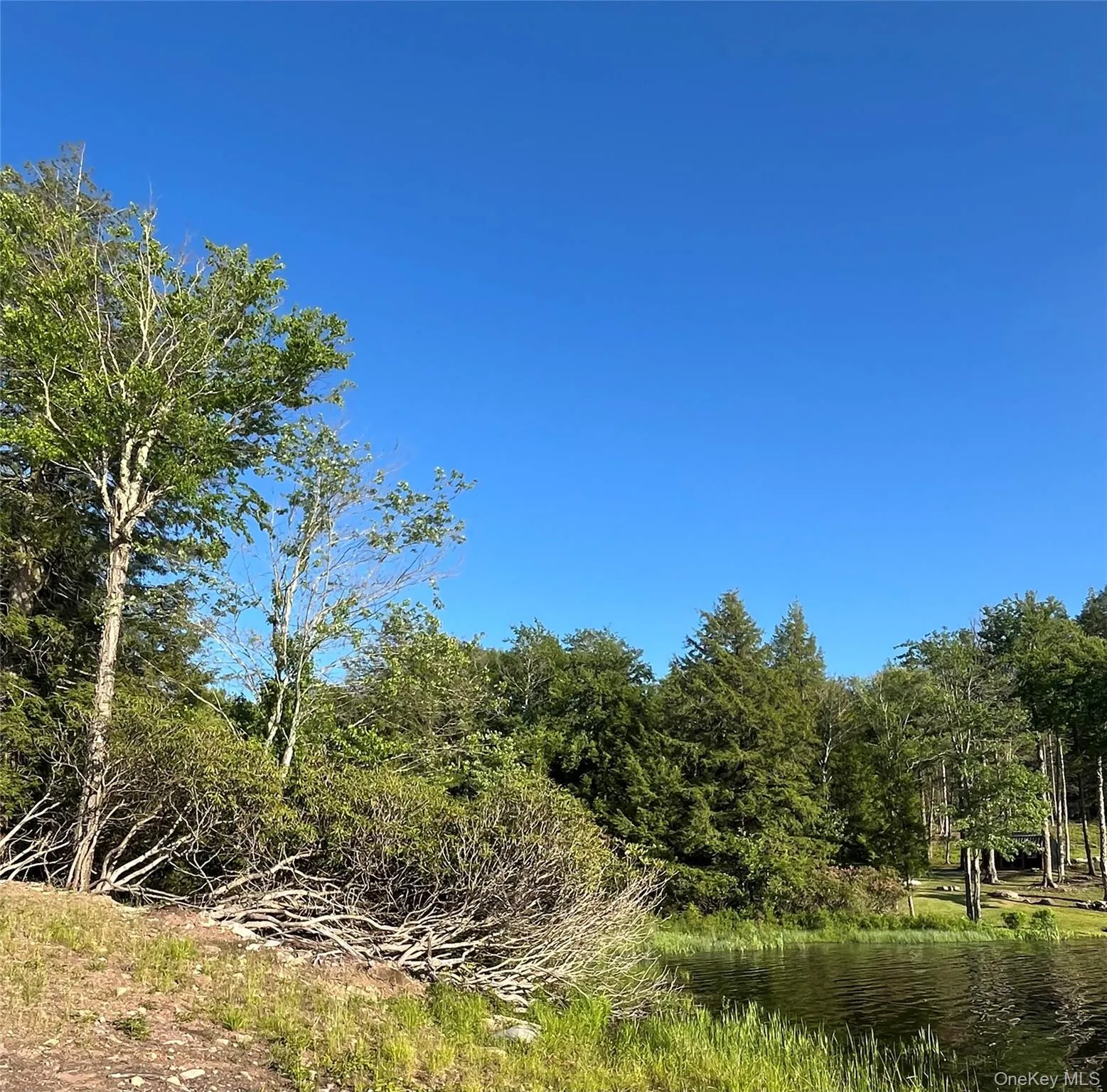 47 Eagles Ridge Way, Liberty, NY, ,Land,For Rent,Eagles Ridge,0,1015771 47 Eagles Ridge Way, Liberty, NY, ,Land,For Rent,Eagles Ridge,0,1015771