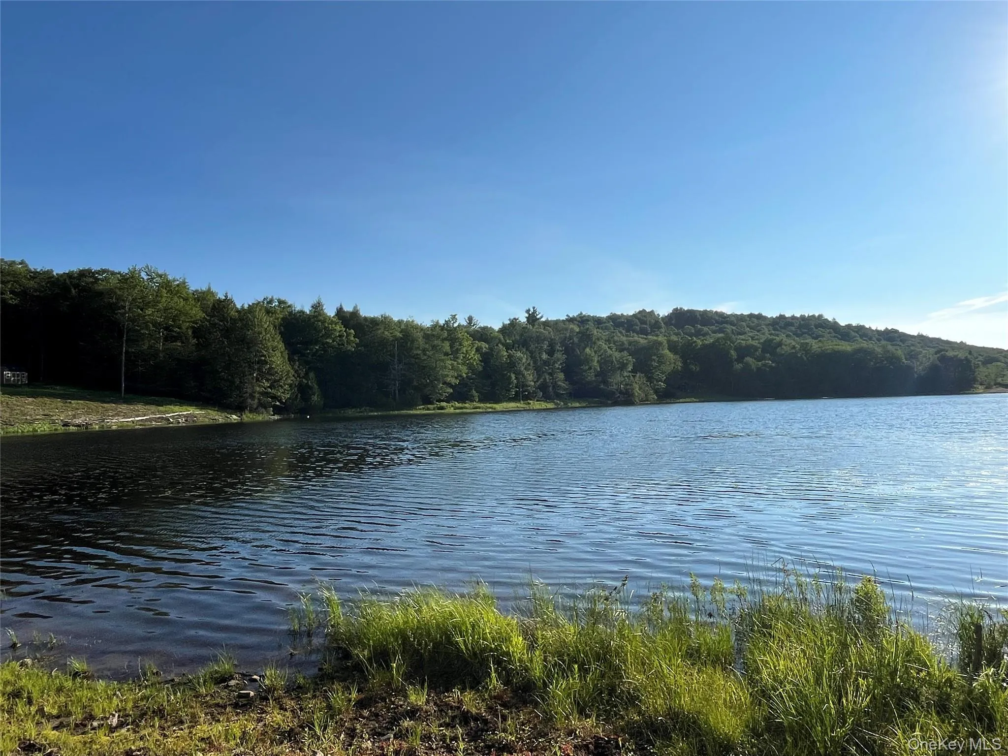 47 Eagles Ridge Way, Liberty, NY, ,Land,For Rent,Eagles Ridge,0,1015771 47 Eagles Ridge Way, Liberty, NY, ,Land,For Rent,Eagles Ridge,0,1015771