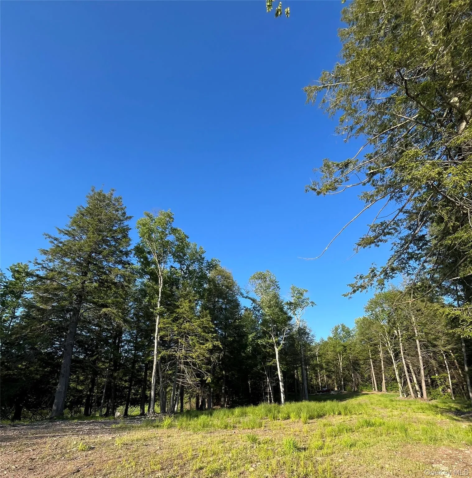 47 Eagles Ridge Way, Liberty, NY, ,Land,For Rent,Eagles Ridge,0,1015771 47 Eagles Ridge Way, Liberty, NY, ,Land,For Rent,Eagles Ridge,0,1015771