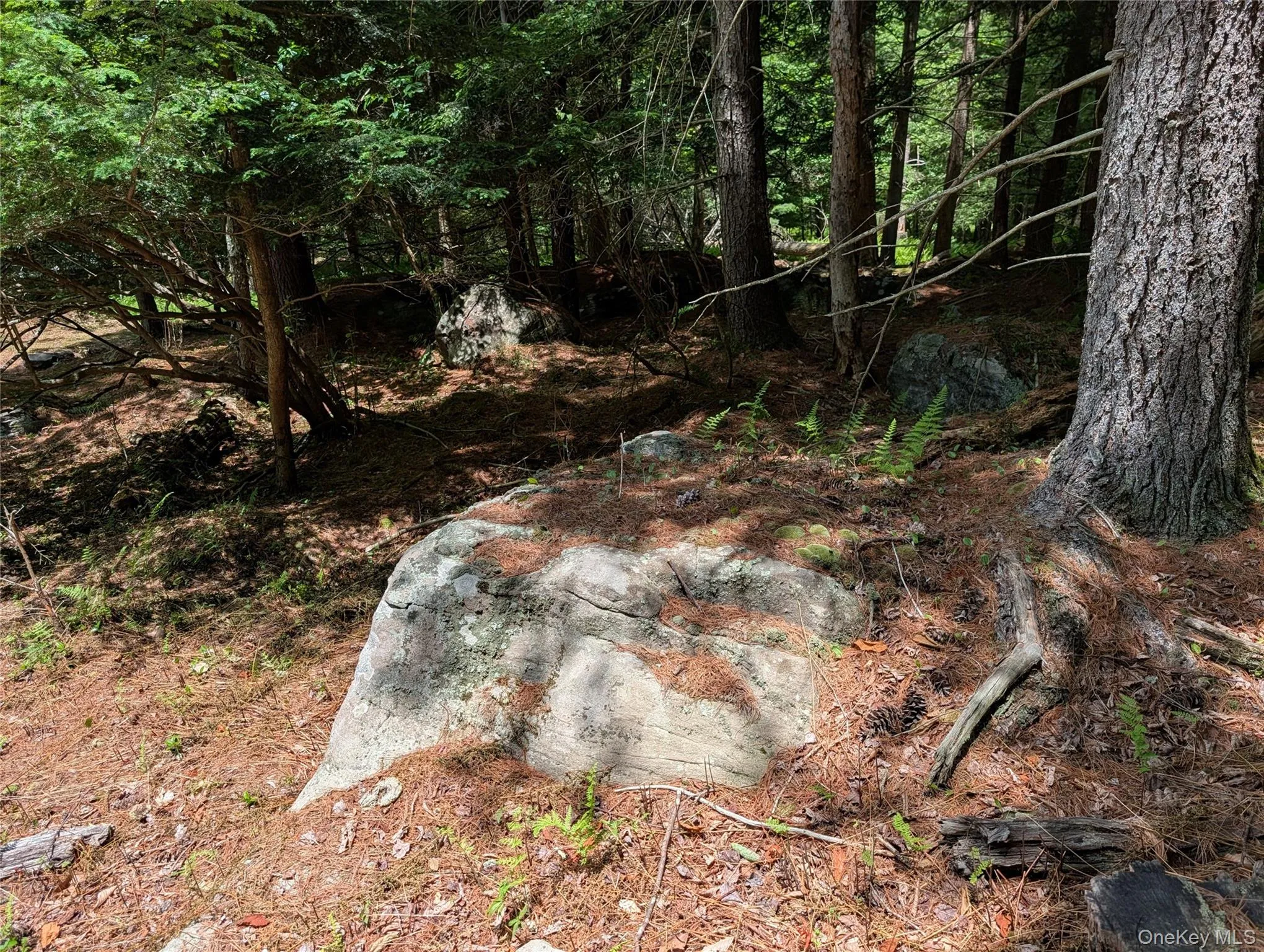 Natural landscaping Natural landscaping