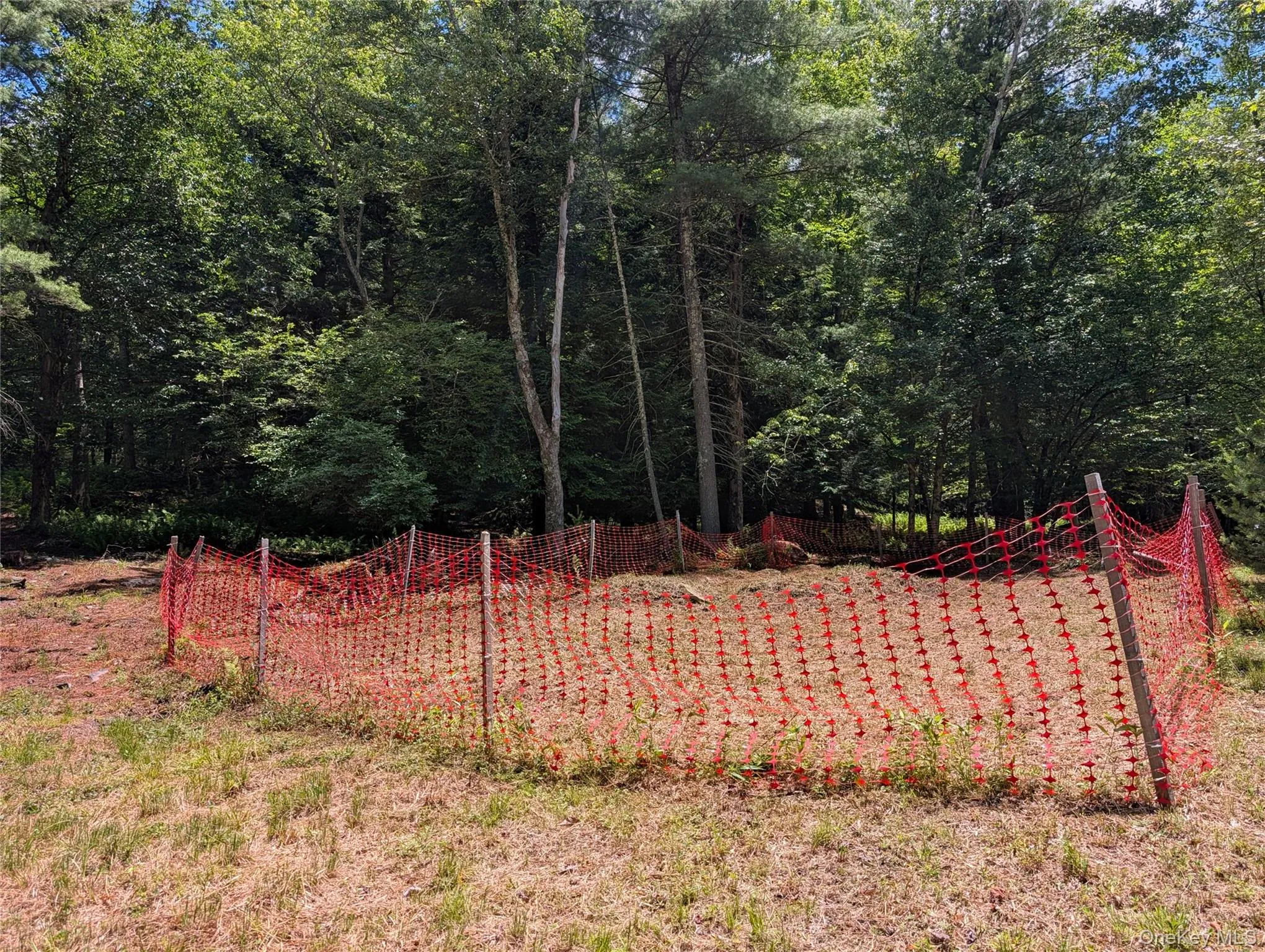 Possible septic location Possible septic location