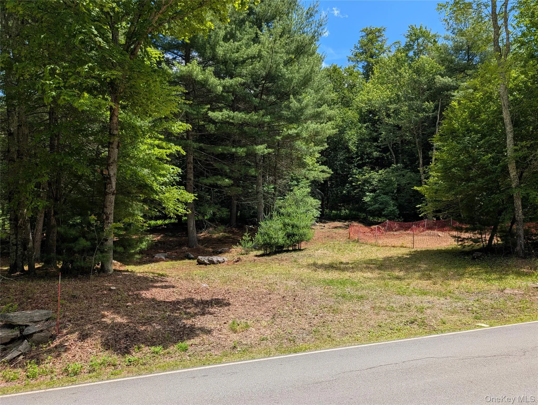 View from road to possible driveway View from road to possible driveway