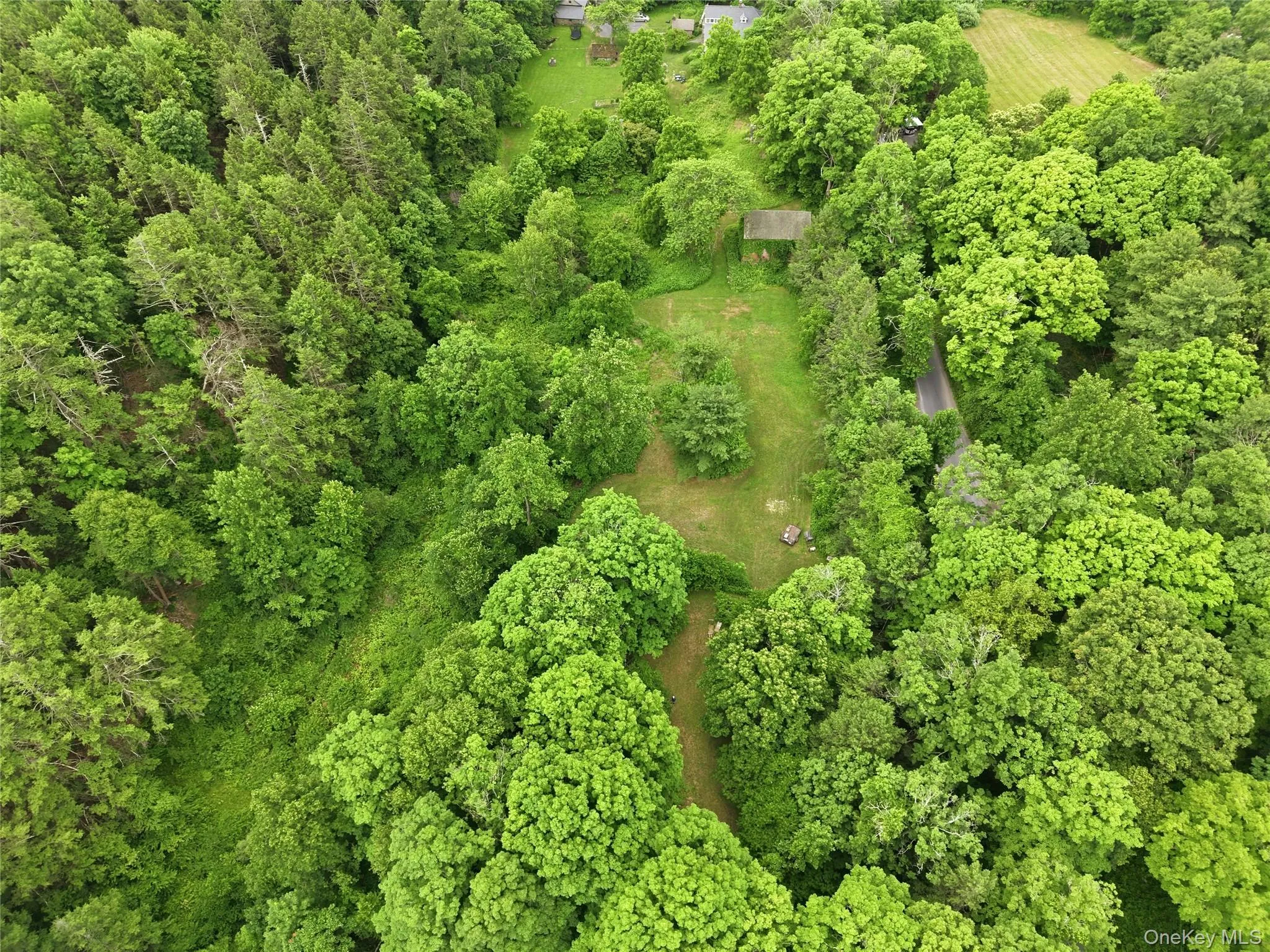 39 Loughran Lane, Lloyd, NY, ,Land,For Rent,Loughran,0,1015796 39 Loughran Lane, Lloyd, NY, ,Land,For Rent,Loughran,0,1015796