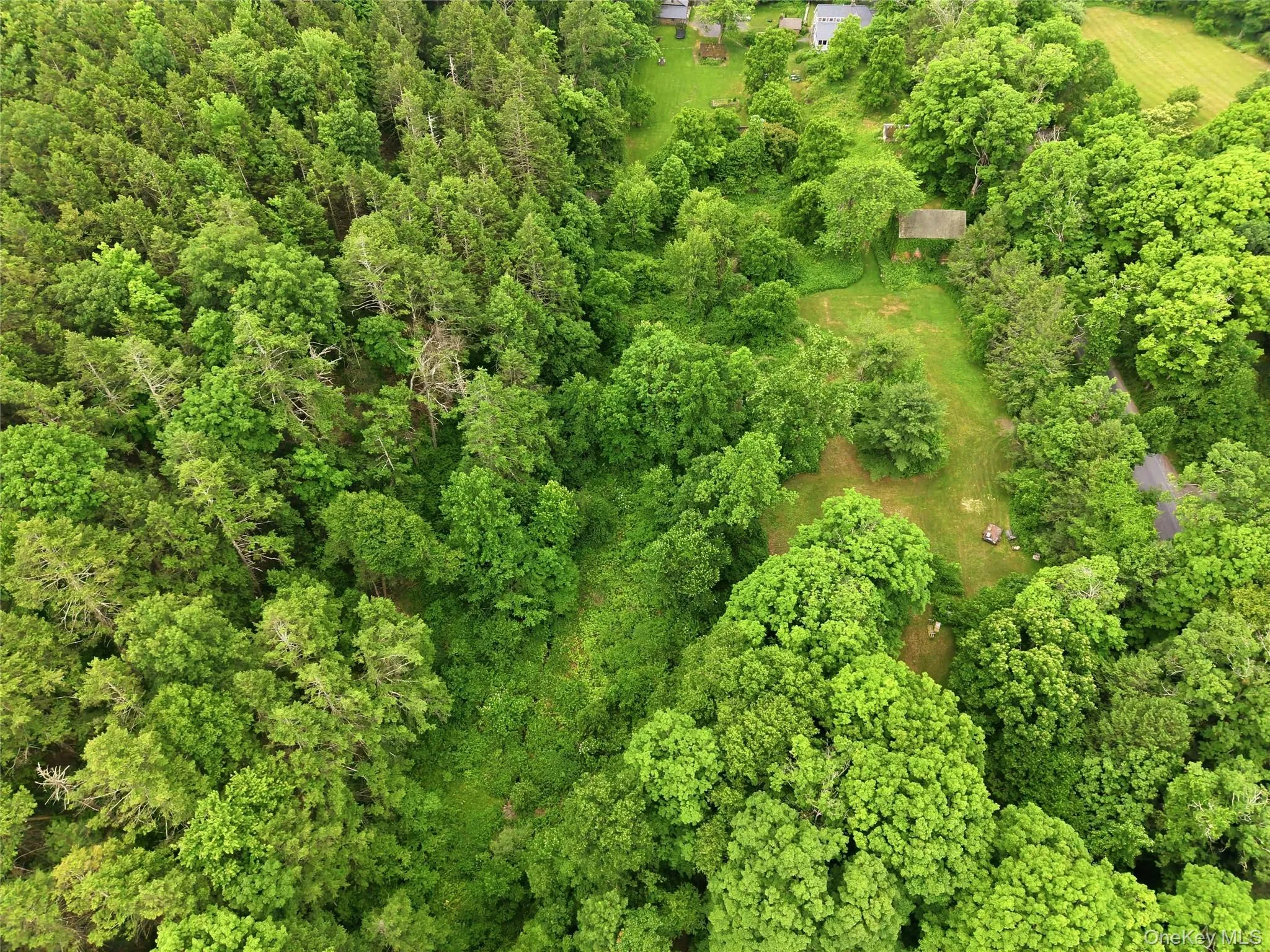 39 Loughran Lane, Lloyd, NY, ,Land,For Rent,Loughran,0,1015796 39 Loughran Lane, Lloyd, NY, ,Land,For Rent,Loughran,0,1015796