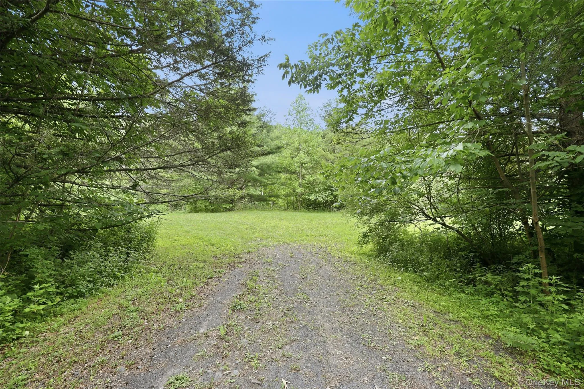 39 Loughran Lane, Lloyd, NY, ,Land,For Rent,Loughran,0,1015796 39 Loughran Lane, Lloyd, NY, ,Land,For Rent,Loughran,0,1015796