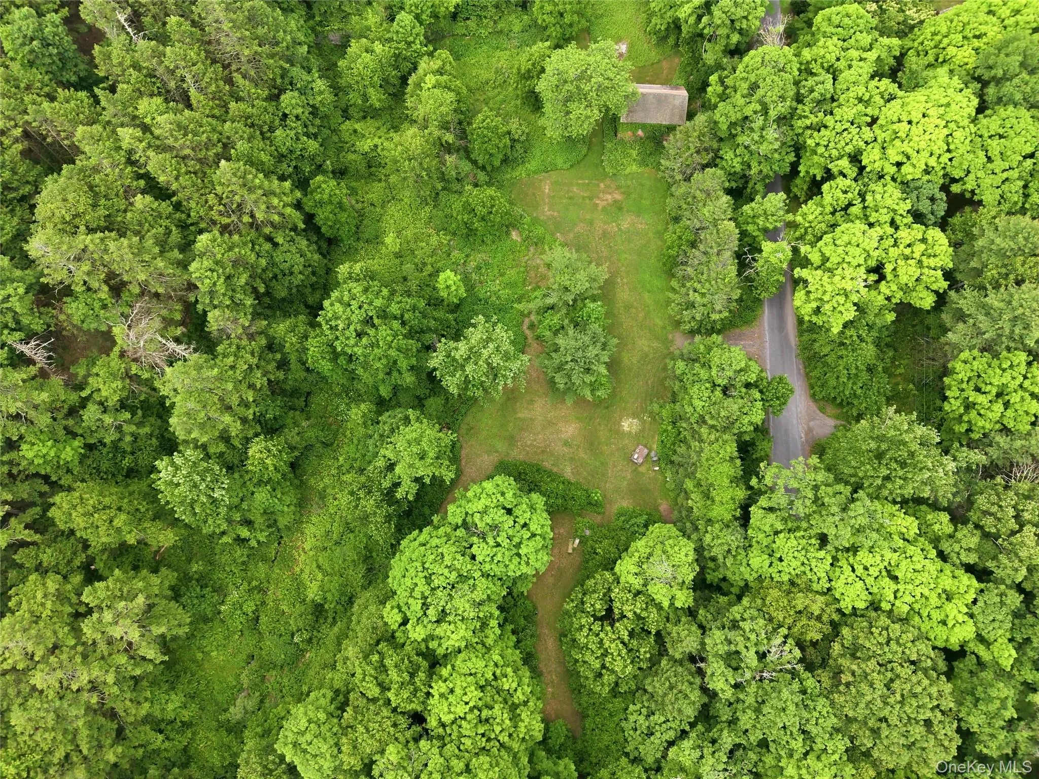 39 Loughran Lane, Lloyd, NY, ,Land,For Rent,Loughran,0,1015796 39 Loughran Lane, Lloyd, NY, ,Land,For Rent,Loughran,0,1015796