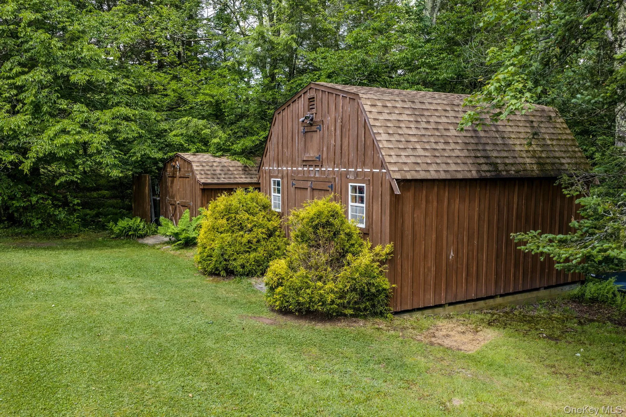 Brown-stained wood siding barn with gambrel roof and white-framed windows, accompanied by a smaller coordinating shed Brown-stained wood siding barn with gambrel roof and white-framed windows, accompanied by a smaller coordinating shed