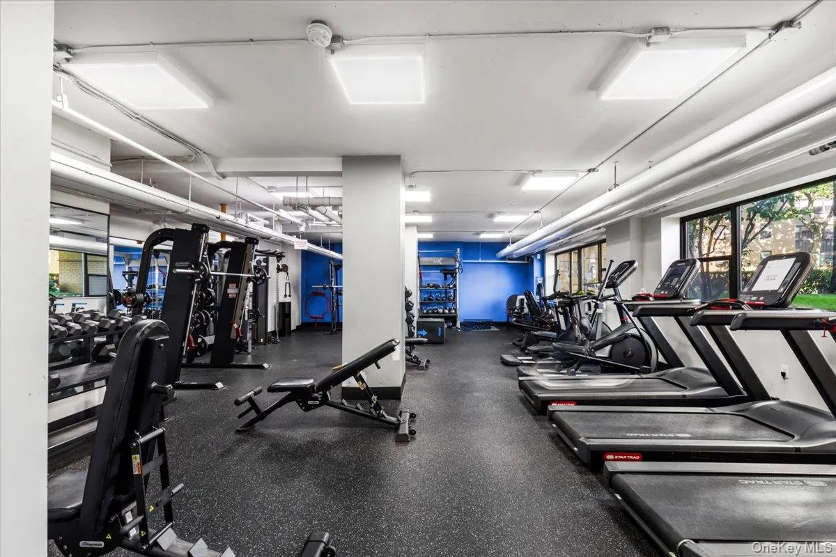 6 Fordham Hill Oval, New York, NY, 1 Bedroom Bedrooms, 4 Rooms Rooms,1 BathroomBathrooms,Residential,For Rent,Fordham Hill Oval,0,1015811 6 Fordham Hill Oval, New York, NY, 1 Bedroom Bedrooms, 4 Rooms Rooms,1 BathroomBathrooms,Residential,For Rent,Fordham Hill Oval,0,1015811